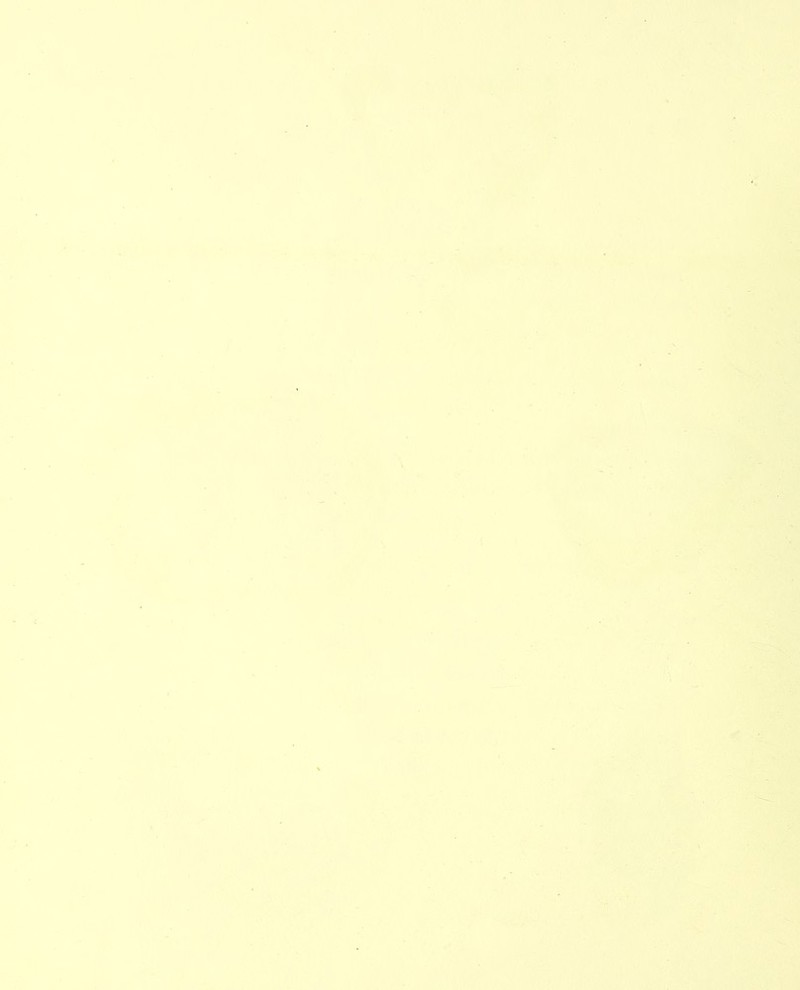 i’’. j'f *,\9 •;>V ’ . S;.' ••\4 v’' ■ V’-» •.. ..,- » y ,*,C'fc- ;■ •• • •,. ■'1 / )l'’;'-‘'..‘. • • ■ <<.'^Ktutk\i'.iS9Sf\. : -tOK ' '4 M