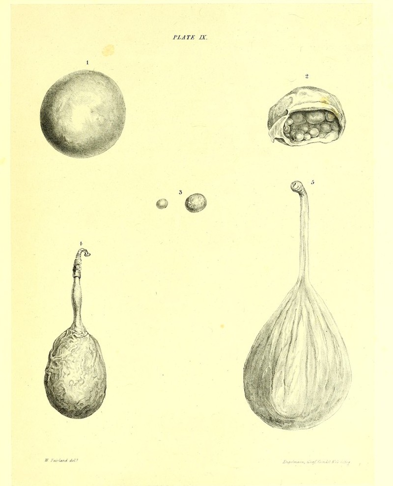 W l''curfA^r.d, cieZ ?