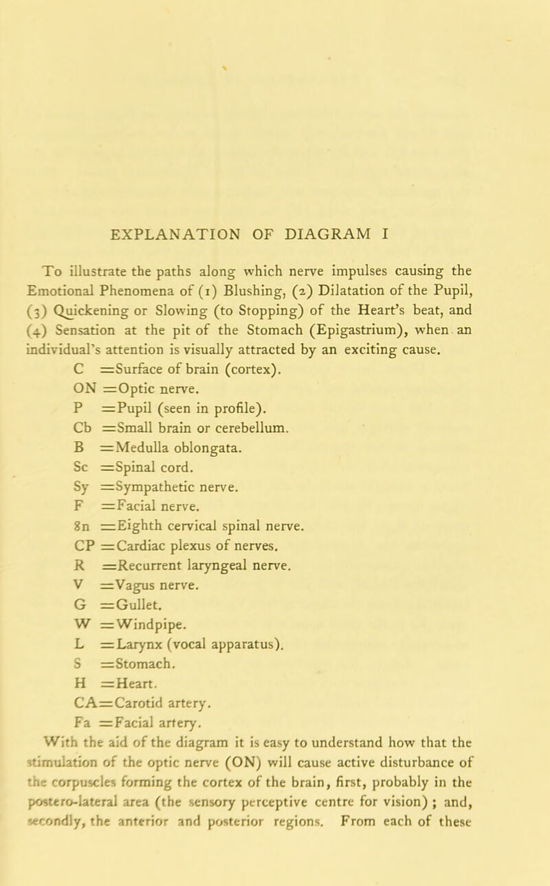 EXPLANATION OF DIAGRAM I To illustrate the paths along which nerve impulses causing the Emotional Phenomena of (i) Blushing, (2) Dilatation of the Pupil, (3) Quickening or Slowing (to Stopping) of the Heart’s beat, and (4) Sensation at the pit of the Stomach (Epigastrium), when an individual’s attention is visually attracted by an exciting cause. C = Surface of brain (cortex). ON =Optic nerve. P = Pupil (seen in profile). Cb =Small brain or cerebellum. B =Medulla oblongata. Sc =Spinal cord. Sy =Sympathetic nerve. F = Facial nerve. 8n =Eighth cervical spinal nerve. CP = Cardiac plexus of nerves. R ==Recurrent laryngeal nerve. V = Vagus nerve. G = Gullet. W r=Windpipe. L = Larynx (vocal apparatus). S =Stomach. H = Heart. CA=Carotid artery. Fa = Facial artery. With the aid of the diagram it is easy to understand how that the stimulation of the optic nerve (ON) will cause active disturbance of the corpuscles forming the cortex of the brain, first, probably in the postero-lateral area (the sensory perceptive centre for vision) ; and, secondly, the anterior and posterior regions. From each of these