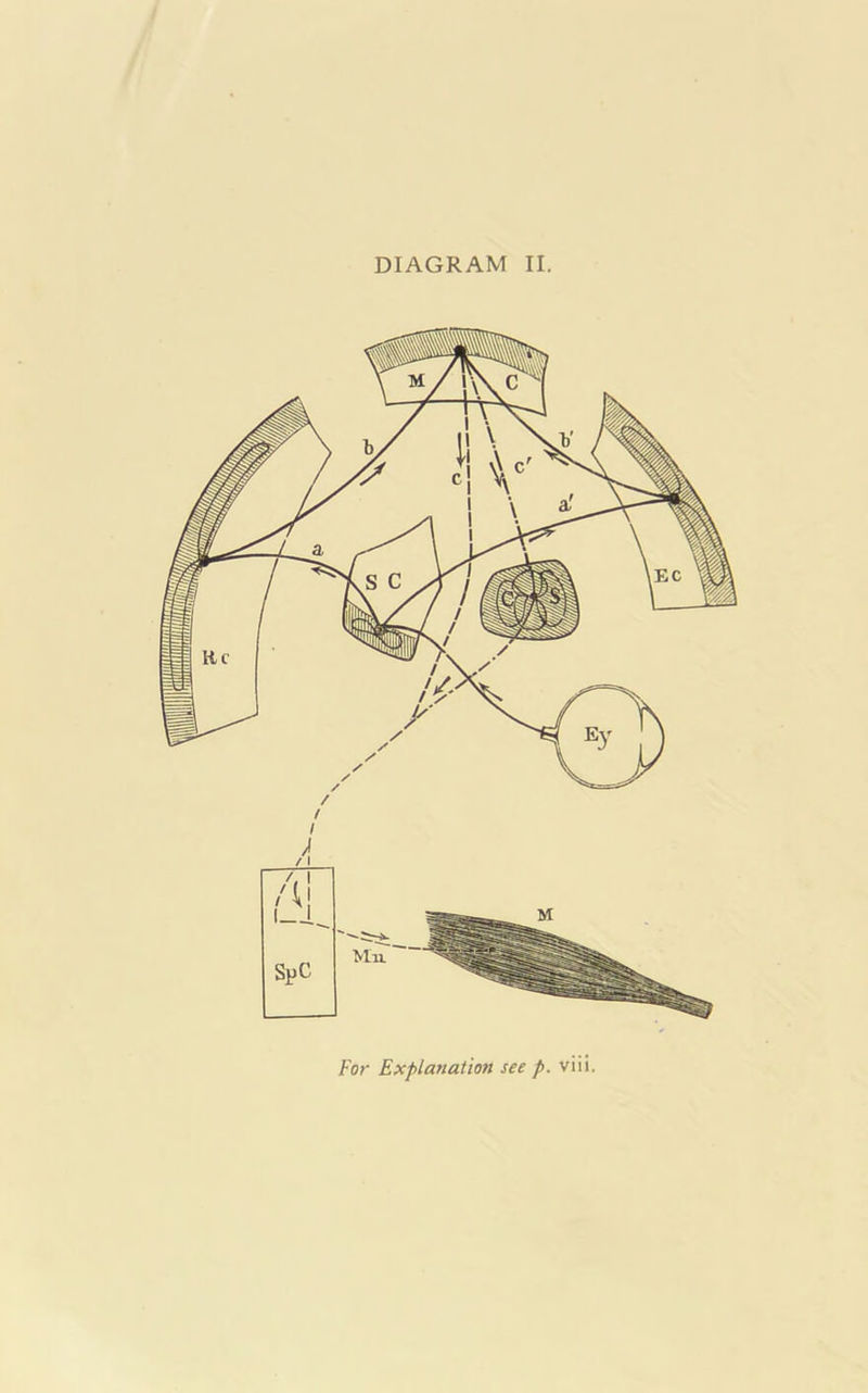 mm DIAGRAM II.