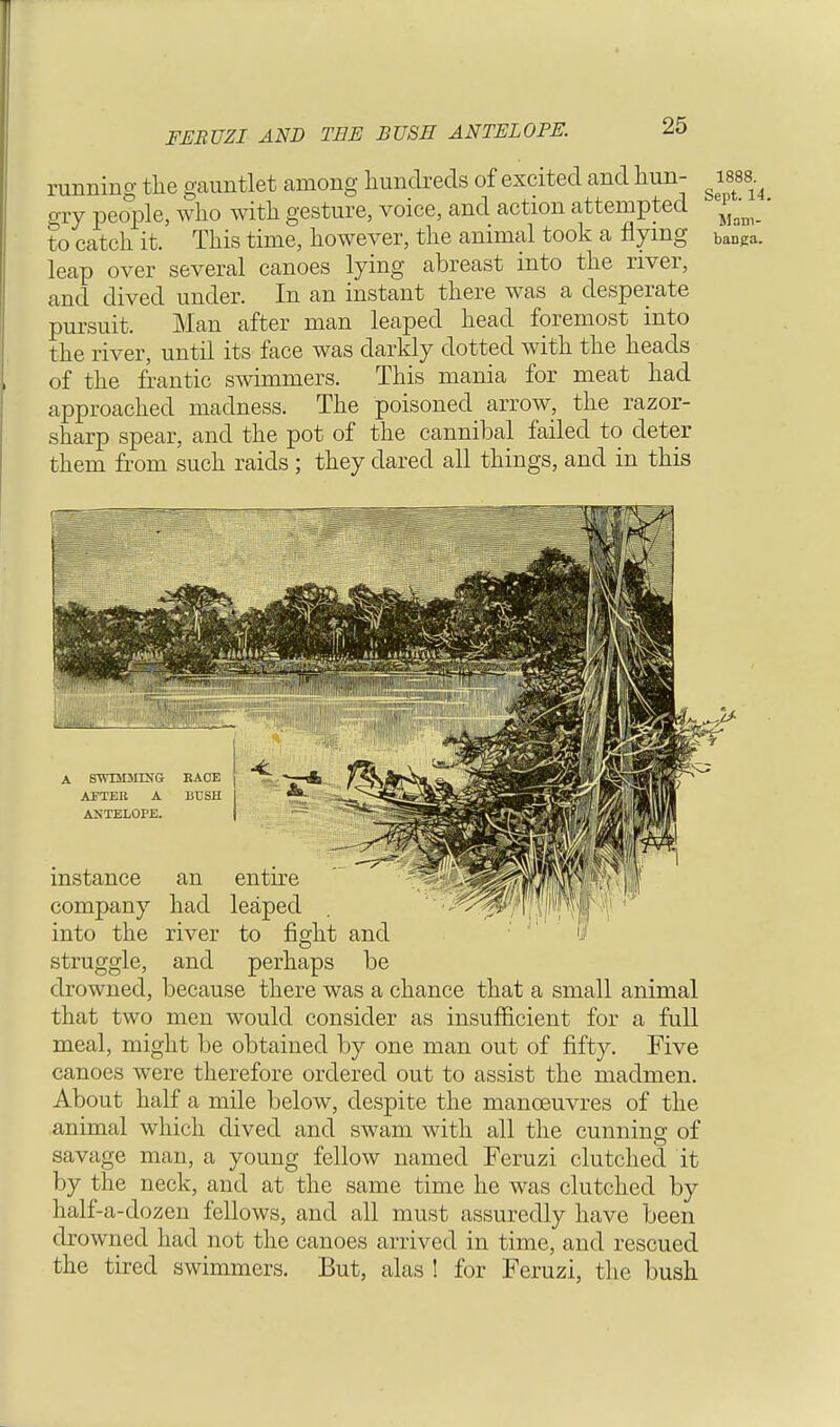 FERUZI AND THE BUSH ANTELOPE. running the gauntlet among hundreds of excited and hun- g issa gry people, who with gesture, voice, and action attempted ^ to catch it. This time, however, the animal took a flying banga. leap over several canoes lying abreast into the river, and dived under. In an instant there was a desperate pursuit. Man after man leaped head foremost into the river, until its face was darkly dotted with the heads of the frantic swimmers. This mania for meat had approached madness. The poisoned arrow, the razor- sharp spear, and the pot of the cannibal failed to deter them from such raids ; they dared all things, and in this drowned, because there was a chance that a small animal that two men would consider as insufficient for a full meal, might be obtained by one man out of fifty. Five canoes were therefore ordered out to assist the madmen. About half a mile below, despite the manoeuvres of the animal which dived and swam with all the cunning of savage man, a young fellow named Feruzi clutched it by the neck, and at the same time he was clutched by half-a-dozen fellows, and all must assuredly have been drowned had not the canoes arrived in time, and rescued the tired swimmers. But, alas ! for Feruzi, the bush