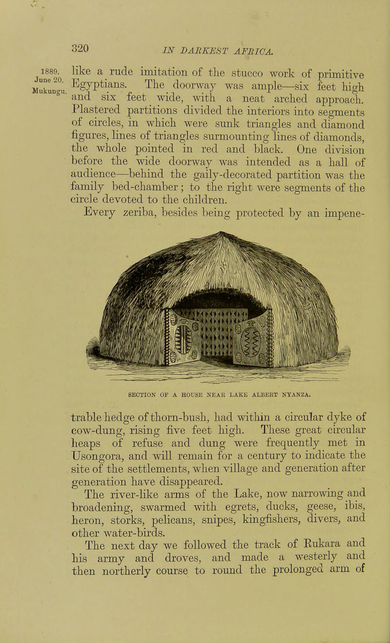 IS% ^e a • rUC^e imitat^on of tlie stucco work of primitive Zngu EgyPti.ans- Tlie. doorway was ample—six feet high 3 ' and six feet wide, with a neat arched approach. Plastered partitions divided the interiors into segments of circles, in which were sunk triangles and diamond figures, lines of triangles surmounting lines of diamonds, the whole pointed in red and black. One division before the wide doorway was intended as a hall of audience—behind the gaily-decorated partition was the family bed-chamber; to the right were segments of the circle devoted to the children. Every zeriba, besides being protected by an impene- SECTION OF A HOUSE NEAlt LAKE ALBERT NYANZA. trable hedge of thorn-bush, had within a circular dyke of cow-dung, rising five feet high. These great circular heaps of refuse and dung were frequently met in Usongora, and will remain for a century to indicate the site of the settlements, when village and generation after generation have disappeared. The river-like arms of the Lake, now narrowing and broadening, swarmed with egrets, ducks, geese, ibis, heron, storks, pelicans, snipes, kingfishers, divers, and other water-birds. The next day we followed the track of Eukara and his army and droves, and made a westerly and then northerly course to round the prolonged arm of