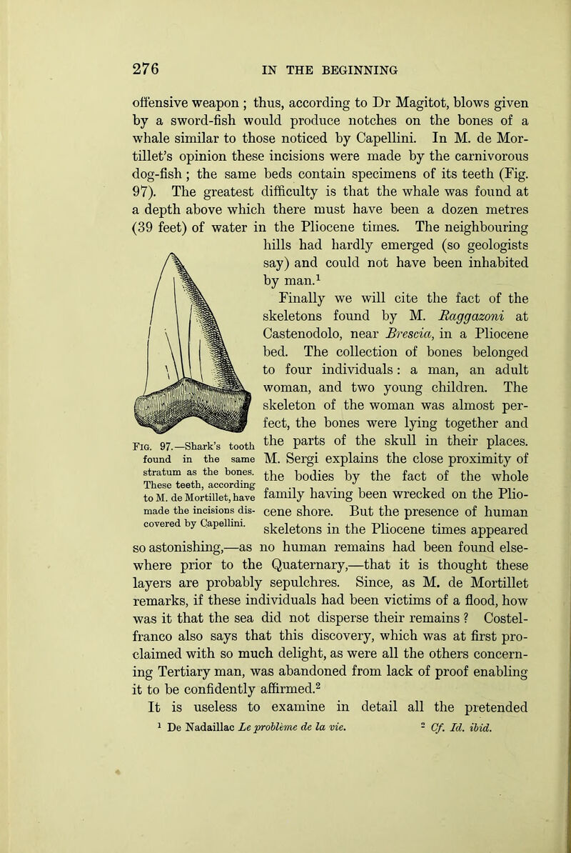 offensive weapon ; thus, according to Dr Magitot, blows given by a sword-fish would produce notches on the bones of a whale similar to those noticed by Capellini. In M. de Mor- tillet’s opinion these incisions were made by the carnivorous dog-fish; the same beds contain specimens of its teeth (Fig. 97). The greatest difficulty is that the whale was found at a depth above which there must have been a dozen metres (39 feet) of water in the Pliocene times. The neighbouring hills had hardly emerged (so geologists say) and could not have been inhabited by man.1 Finally we will cite the fact of the skeletons found by M. Raggazoni at Castenodolo, near Brescia, in a Pliocene bed. The collection of bones belonged to four individuals: a man, an adult woman, and two young children. The skeleton of the woman was almost per- fect, the bones were lying together and the parts of the skull in their places. M. Sergi explains the close proximity of the bodies by the fact of the whole family having been wrecked on the Plio- cene shore. But the presence of human skeletons in the Pliocene times appeared so astonishing,—as no human remains had been found else- where prior to the Quaternary,—that it is thought these layers are probably sepulchres. Since, as M. de Mortillet remarks, if these individuals had been victims of a flood, how was it that the sea did not disperse their remains ? Costel- franco also says that this discovery, which was at first pro- claimed with so much delight, as were all the others concern- ing Tertiary man, was abandoned from lack of proof enabling it to he confidently affirmed.2 It is useless to examine in detail all the pretended 1 De Nadaillac Le problems de la vie. - Cf. Id. ibid. Fig. 97.—Shark’s tooth found in the same stratum as the bones. These teeth, according to M. de Mortillet, have made the incisions dis- covered by Capellini.