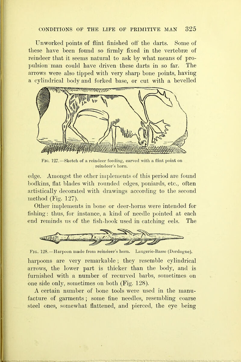 Unworked points of flint finished off the darts. Some of these have been found so firmly fixed in the vertebrae of reindeer that it seems natural to ask by what means of pro- pulsion man could have driven these darts in so far. The arrows were also tipped with very sharp bone points, having a cylindrical body and forked base, or cut with a bevelled Fig. 127.—Sketch of a reindeer feeding, carved with a flint point on reindeer’s horn. edge. Amongst the other implements of this period are found bodkins, flat blades with rounded edges, poniards, etc., often artistically decorated with drawings according to the second method (Fig. 127). Other implements in bone or deer-horns were intended for fishing: thus, for instance, a kind of needle pointed at each end reminds us of the fish-hook used in catching eels. The Fig. 128.—Harpoon made from reindeer’s horn. Laugerie-Basse (Dordogne). harpoons are very remarkable ; they resemble cylindrical arrows, the lower part is thicker than the body, and is furnished with a number of recurved barbs, sometimes on one side only, sometimes on both (Fig. 128). A certain number of bone tools were used in the manu- facture of garments ; some fine needles, resembling coarse steel ones, somewhat flattened, and pierced, the eye being