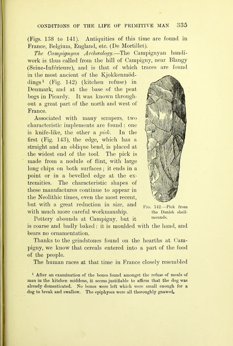 {Figs. 138 to 141). Antiquities of this time are found in France, Belgium, England, etc. (De Mortillet). The Campignyan Archaeology.—The Campignyan handi- work is thus called from the hill of Campigny, near Blangy (Seine-Inferieure), and is that of which traces are found in the most ancient of the Kjokkenmod- dings1 (Fig. 142) (kitchen refuse) in Denmark, and at the base of the peat bogs in Picardy. It was known through- out a great part of the north and west of France. Associated with many scrapers, two characteristic implements are found : one is knife-like, the other a pick. In the first (Fig. 143), the edge, which has a straight and an oblique bend, is placed at the widest end of the tool. The pick is made from a nodule of flint, with large long chips on both surfaces; it ends in a point or in a bevelled edge at the ex- tremities. The characteristic shapes of these manufactures continue to appear in the Neolithic times, even the most recent, but with a great reduction in size, and with much more careful workmanship. Pottery abounds at Campigny, but it is coarse and badly baked: it is moulded with the hand, and bears no ornamentation. Thanks to the grindstones found on the hearths at Cam- pigny, we know that cereals entered into a part of the food of the people. The human races at that time in France closely resembled Fig. 142.—Pick from the Danish shell- mounds. 1 After an examination of the bones found amongst the refuse of meals of man in the kitchen middens, it seems justifiable to affirm that the dog was already domesticated. No bones were left which were small enough for a dog to break and swallow. The epiphyses were all thoroughly gnawed.