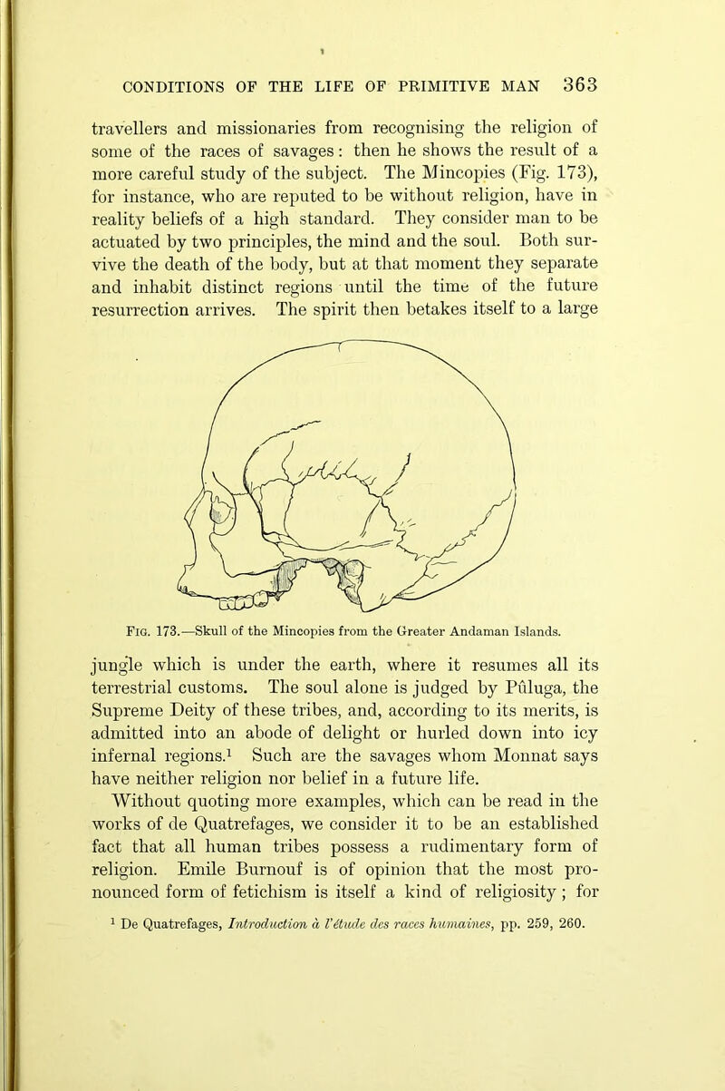 travellers and missionaries from recognising the religion of some of the races of savages: then he shows the result of a more careful study of the subject. The Mincopies (Fig. 173), for instance, who are reputed to be without religion, have in reality beliefs of a high standard. They consider man to be actuated by two principles, the mind and the soul. Both sur- vive the death of the body, hut at that moment they separate and inhabit distinct regions until the time of the future resurrection arrives. The spirit then betakes itself to a large Fig. 173.—Skull of the Mincopies from the Greater Andaman Islands. jungle which is under the earth, where it resumes all its terrestrial customs. The soul alone is judged by Piiluga, the Supreme Deity of these tribes, and, according to its merits, is admitted into an abode of delight or hurled down into icy infernal regions.1 Such are the savages whom Monnat says have neither religion nor belief in a future life. Without quoting more examples, which can he read in the works of de Quatrefages, we consider it to be an established fact that all human tribes possess a rudimentary form of religion. Emile Burnouf is of opinion that the most pro- nounced form of fetichism is itself a kind of religiosity; for