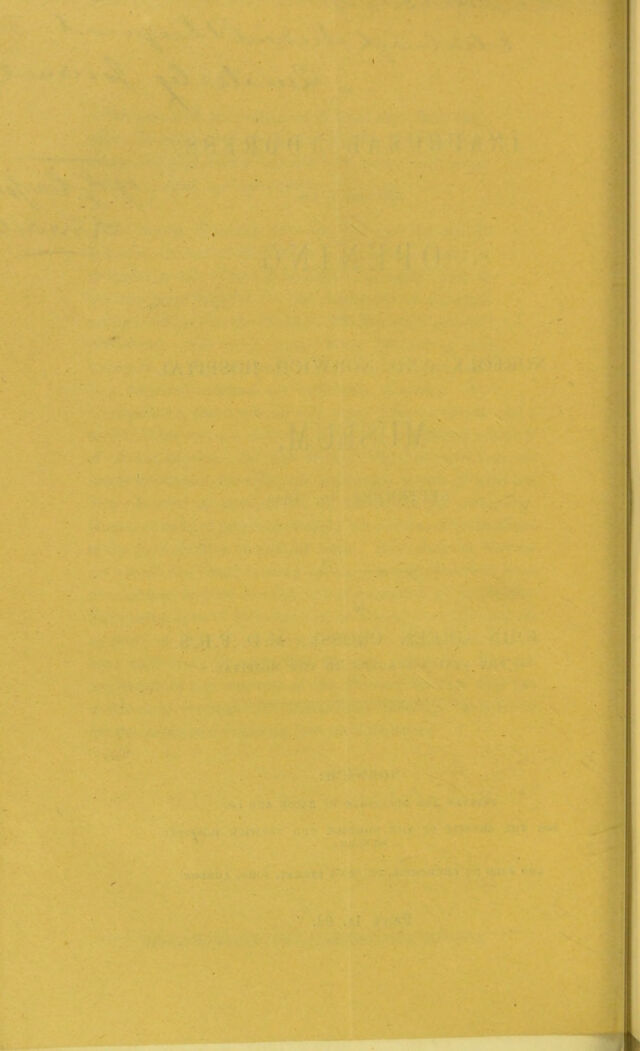 digitised image 2