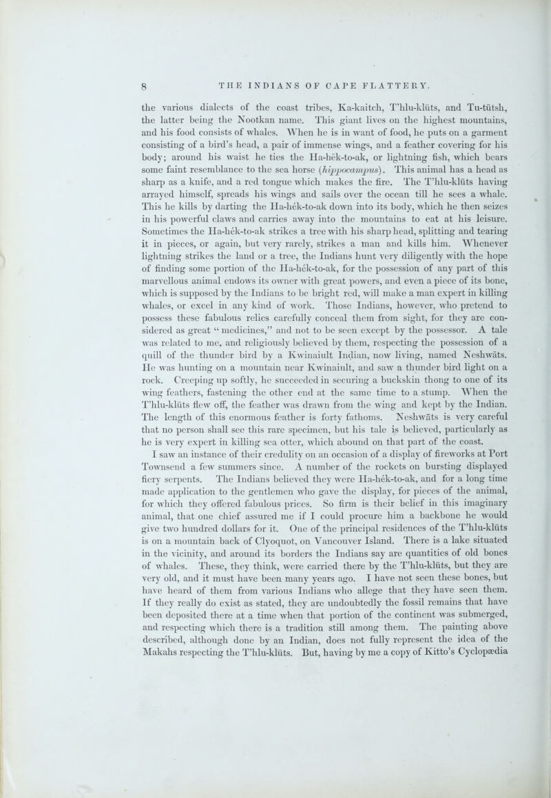 the various dialects of the coast tribes, Ka-kaitch, T’hlu-kluts, and Tu-tutsh, the latter being the Nootkan name. This giant lives on the highest mountains, and his food consists of whales. When he is in want of food, he puts on a garment consisting of a bird’s head, a pair of immense wings, and a feather covering for his body; around his waist he ties the Ha-hek-to-ak, or lightning fish, which hears some faint resemblance to the sea horse {hi'ppocamims). This animal has a head as sharp as a knife, and a red tongue which makes the fire. The T’lilu-kluts having arrayed himself, spreads his wings and sails over the ocean till he sees a whale. This he kills by darting the Ha-hek-to-ak down into its body, which he then seizes in his powerful claws and carries away into the mountains to eat at his leisure. Sometimes the Ha-hek-to-ak strikes a tree with his sharp head, splitting and tearing it in pieces, or again, but very rarely, strikes a man and kills him. Whenever lightning strikes the land or a tree, the Indians hunt very diligently with the hope of finding some portion of the Ha-hek-to-ak, for the possession of any part of this marvellous animal endows its owner with great powers, and even a piece of its bone, which is supposed by the Indians to he bright red, will make a man expert in killing whales, or excel in any kind of work. Those Indians, however, who pretend to possess these fabulous relics carefully conceal them from sight, for they are con- sidered as great “ medicines,” and not to be seen except by the possessor. A tale was related to me, and religiously believed by them, respecting the possession of a cpiill of the thunder bird by a Kwinaiult Indian, now living, named Neshwats. He was hunting on a mountain near Kwinaiult, and saw a thunder bird light on a rock. Creeping up softly, ho succeeded in securing a buckskin thong to one of its wing feathers, fastening the other end at the same time to a stump. When the T’hlu-kluts flew olF, the feather was drawn from the wing and kept by the Indian. The length of this enormous feather is forty fathoms. Neshwats is very careful that no person shall see this rare specimen, but his tale is believed, particularly as he is very expert in killing sea otter, which abound on that part of the coast. I saw an instance of their credulity on an occasion of a display of fireworks at Port Townsend a few summers since. A number of the rockets on bursting displayed fiery serpents. The Indians believed they were Ila-hek-to-ak, and for a long time made application to the gentlemen who gave the display, for pieces of the animal, for which they ofiered fabulous prices. So firm is their belief in this imaginary animal, that one chief assured me if I could procure him a backbone he would give two hundred dollars for it. One of the principal residences of the T’hlu-kluts is on a mountain back of Clyoquot, on Vancouver Island. There is a lake situated in the vicinity, and around its borders the Indians say are quantities of old bones of whales. These, they think, were carried there by the T’hlu-kluts, but they are very old, and it must have been many years ago. I have not seen these bones, but have heard of them from various Indians who allege that they have seen them. If they really do exist as stated, they are undoubtedly the fossil remains that have been deposited there at a time when that portion of the continent was submerged, and respecting which there is a tradition stiU among them. The painting above described, although done by an Indian, does not fully represent the idea of the Makahs respecting the T’hlu-kluts. But, having by me a copy of Kitto’s Cyclopaedia