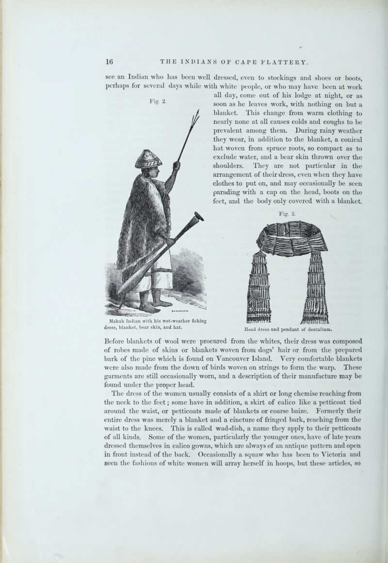 see an Indian who has been well dressed, even to stockings and shoes or boots, perhaps for several days while with white people, or who may have been at work all day, come out of his lodge at night, or as soon as he leaves work, with nothing on but a blanket. This change from warm clothing to nearly none at all causes colds and coughs to he prevalent among them. During rainy weather they wear, in addition to the blanket, a conical hat woven from spruce roots, so compact as to exclude water, and a bear skin thrown over the shoulders. They are not particular in the arrangement of their dress, even when they have clothes to put on, and may occasionally be seen parading with a cap on the head, boots on the feet, and the body only covered with a blanket. Makah Indian with his wet-weather fishing dress, blanket, bear skin, and hat. rfutsTj Head dress and pendant of dentalium. Before blankets of wool were procured from the whites, their dress was composed of robes made of skins or blankets woven from dogs’ hair or from the prepared bark of the pine which is found on Vancouver Island. Very comfortable blankets were also made from the doAvn of birds woven on strings to form the warp. These garments are still occasionally worn, and a description of their manufacture may be found under the proper head. The dress of the women usually consists of a shirt or long chemise reaching from the neck to the feet; some have in addition, a skirt of calico like a petticoat tied around the waist, or petticoats made of blankets or coarse baize. Formerly their entire dress was merely a blanket and a cincture of fringed bark, reaching from the waist to the knees. This is called wad-dish, a name they apply to their petticoats of all kinds. Some of the women, particularly the younger ones, have of late years dressed themselves in calico gowns, which are always of an antique pattern and open in front instead of the back. Occasionally a squaw who has been to Victoria and seen the fashions of white women will array herself in hoops, but these articles, so