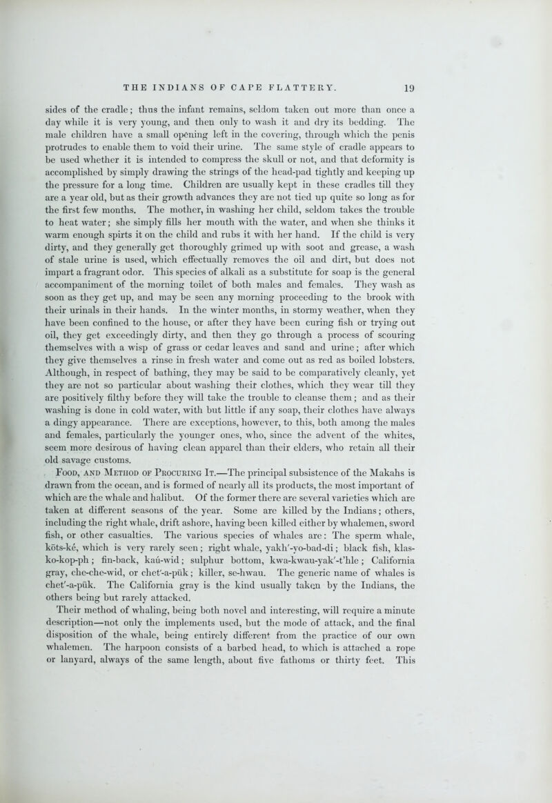 sides of the cradle; thus the infant remains, seldom taken out more than once a day while it is very young, and then only to wash it and dry its bedding. The male children have a small opening left in the covering, through which the penis protrudes to enable them to void their urine. The same style of cradle appears to be used whether it is intended to compress the skull or not, and that deformity is accomplished by simply drawing the strings of the head-pad tightly and keeping up the pressure for a long time. Children are usually kept in these cradles till they are a year old, but as their growth advances they are not tied up quite so long as for the first few months. The mother, in washing her child, seldom takes the trouble to heat water; she simply fills her mouth with the water, and when she thinks it warm enough spirts it on the child and rubs it with her hand. If the child is very dirty, and they generally get thoroughly grimed up with soot and grease, a wash of stale urine is used, which effectually removes the oil and dirt, but does not impart a fragrant odor. This species of alkali as a substitute for soap is the general accompaniment of the morning toilet of both males and females. They wash as soon as they get up, and may be seen any morning proceeding to the brook with their urinals in their hands. In the winter months, in stormy weather, when they have been confined to the house, or after they have been curing fish or trying out oil, they get exceedingly dirty, and then they go through a process of scouring themselves with a wisp of grass or cedar leaves and sand and urine; after which they give themselves a rinse in fresh water and come out as red as boiled lobsters. Although, in respect of bathing, they may be said to be comparatively cleanly, yet they are not so particular about washing their clothes, which they wear till they are positively filthy before they will take the trouble to cleanse them; and as their washing is done in cold water, with but little if any soap, their clothes have always a dingy appearance. There are exceptions, however, to this, both among the males and females, particularly the younger ones, who, since the advent of the whites, seem more desirous of having clean apparel than their elders, who retain all their old savage customs. Food, and Method of Procuring It.—The principal subsistence of the Makahs is drawn from the ocean, and is formed of nearly all its products, the most important of which are the whale and halibut. Of the former there are several varieties which are taken at different seasons of the year. Some are killed by the Indians; others, including the right whale, drift ashore, having been killed either by whalemen, sword fish, or other casualties. The various species of whales are: The sperm whale, kots-ke, which is very rarely seen; right whale, yakh'-yo-bad-di; black fish, klas- ko-kop-ph; fin-back, kau-wid; sulphur bottom, kwa-kwau-yak'-t’hle; California gray, che-che-wid, or chet'-a-puk; killer, se-hwau. The generic name of whales is chet'-a-puk. The California gray is the kind usually taken by the Indians, the others being hut rarely attacked. Their method of whaling, being both novel and interesting, will require a minute description—not only the implements used, but the mode of attack, and the final disposition of the whale, being entirely different from the practice of our own whalemen. The harpoon consists of a barbed head, to which is attached a rope or lanyard, always of the same length, about five fathoms or thirty feet. This