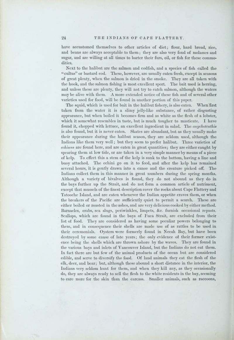 have accustomed themselves to other articles of diet; flour, hard bread, rice, and beans are always acceptable to them; they are also very fond of molasses and sugar, and are willing at all times to barter their furs, oil, or fish for these commo- dities. Next to the halibut are the salmon and codfish, and a species of fish called the “cultus” or bastard cod. These, however, are usually eaten fresh, except in seasons of great plenty, when the salmon is dried in the smoke. They are all taken with the hook, and the salmon fishing is most excellent sport. The bait used is herring, and unless these are plenty, they will not try to catch salmon, although the waters may be alive with them. A more extended notice of these fish and of several other varieties used for food, will be found in another portion of this paper. The squid, which is used for bait in the halibut fishery, is also eaten. When'first taken from the water it is a slimy jelly-like substance, of rather disgusting appearance, but when boiled it becomes firm and as white as the flesh of a lobster, which it somewhat resembles in taste, but is much tougher to masticate. I have found it, chopped wdth lettuce, an excellent ingredient in salad. The onyclioteuthis is also found, but it is never eaten. Skates are abundant, but as they usually make their appearance during the halibut season, they are seldom used, although the Indians like them very well; but they seem to prefer halibut. Three varieties of echinus are found here, and are eaten in great quantities; they are either caught by spearing them at low tide, or are taken in a very simple manner by means of a piece of kelp. To effect this a stem of the kelp is sunk to the bottom, having a line and buoy attached. The echini go on it to feed, and after the kelp has remained several hours, it is gently drawn into a canoe and the creature picked off. The Indians collect them in this manner in great numbers during the spring months. Although a variety of bivalves is found, they do not abound as they do in the bays further up the Strait, and do not form a common article of nutriment, except that mussels of the finest description cover the rocks about Cape Flattery and Tatooche Island, and are eaten whenever the Indian appetite craves them, or when the breakers of the Pacific are sufficiently quiet to permit a search. These are either boiled or roasted in the ashes, and are very delicious cooked by either method. Barnacles, crabs, sea slugs, periwinkles, limpets, &c. furnish occasional repasts. Scallops, which are found in the bays of Fuca Strait, are excluded from their list of food. They are considered as having some peculiar powers belonging to them, and in consequence their shells are made use of as rattles to be used in their ceremonials. Oysters were formerly found in Neeah Bay, but have been destroyed by some cause of late years; the only evidence of their former exist- ence being the shells which are thrown ashore by the waves. They are found in the various bays and inlets of Vancouver Island, but the Indians do not eat them. In fact there are but few of the animal products of the ocean but are considered edible, and serve to diversify the food. Of land animals they eat the flesh of the elk, deer, and bear; but, although these abound a short distance in the interior, the Indians very seldom hunt for them, and when they kill any, as they occasionally do, they are always ready to sell the flesh to the white residents in the bay, seeming to care more for the skin than the carcass. Smaller animals, such as raccoons,