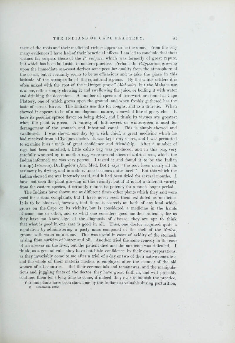 taste of the roots and their medicinal virtues appear to be the same. From the very many evidences I have had of their beneficial effects, I am led to conclude that their virtues far surpass those of the P. vulgare, which was formerly of great repute, but which has been laid aside in modern practice. Perhaps the Polypodium growing upon the immediate sea-coast derives some peculiar quality from the atmosphere of the ocean, but it certainly seems to be as efficacious and to take the place in this latitude of the sarsaparilla of the equatorial regions. By the white settlers it is often mixed with the root of the “ Oregon grape” (J\Iaho7iia), but the Makahs use it alone, either simply chewing it and swallowing the juice, or boiling it with water and drinking the decoction. A number of species of liverwort are found at Cape Flattery, one of which grows upon the ground, and when freshly gathered has the taste of spruce leaves. The Indians use this for coughs, and as a diuretic. When chewed it appears to be of a mucilaginous nature, somewhat like slippery elm. It loses its peculiar spruce flavor on being dried, and I think its virtues are greatest when the plant is green. A variety of bittersweet or wintergreen is used for derangement of the stomach and intestinal canal. This is simply chewed and swallowed. I was shown one day by a sick chief, a great medicine which he had received from a Clyoquot doctor. It was kept very secret, and I was permitted to examine it as a mark of great confidence and friendship. After a number of rags had been unrolled, a little calico bag was produced, and in this bag, very carefully wrapped up in another rag, were several slices of a dried root, which the Indian informed me was very potent. I tasted it and found it to be the Indian turnip (Amoema). Dr. Bigelow (Am. Med. Bot.) says “the root loses nearly all its acrimony by drying, and in a short time becomes quite inert.” But this which the Indian showed me was intensely acrid, and it had been dried for several months. I have not seen the plant growing in this vicinity, but if it is not a different variety from the eastern species, it certainly retains its potency for a much longer period. The Indians have shown me at different times other plants which they said were good for certain complaints, but I have never seen them exhibited as medicine. It is to be observed, however, that there is scarcely an herb of any kind which grows on the Cape or its vicinity, but is considered a medicine in the hands of some one or other, and so what one considers good another ridicules, for as they have no knowledge of the diagnosis of disease, they are apt to think that what is good in one case is good in all. Thus, one doctor acquired quite a reputation by administering a pasty mass composed of the shell of the Natica, ground with water on a stone. This was useful in cases of acidity of the stomach arising from surfeits of butter and oil. Another tried the same remedy in the case of an abscess on the liver, but the patient died and the medicine was ridiculed. I think, as a general rule, they have but little confidence in their own preparations, as they invariably come to me after a trial of a day or two of their native remedies; and the whole of their materia medica is employed after the manner of the old women of all countries. But their ceremonials and tamanawas, and the manipula- tions and juggling feats of the doctor they have great faith in, and will probably continue them for a long time to come, if indeed they ever relinquish the practice. Various plants have been shown me by the Indians as valuable during parturition, 11 December, 1869.