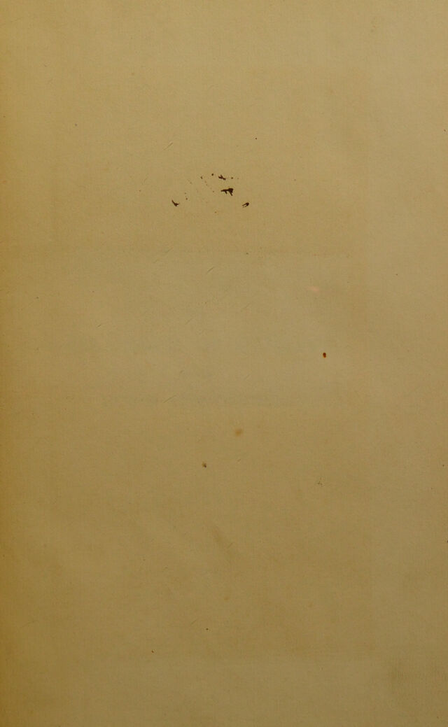 digitised image 3