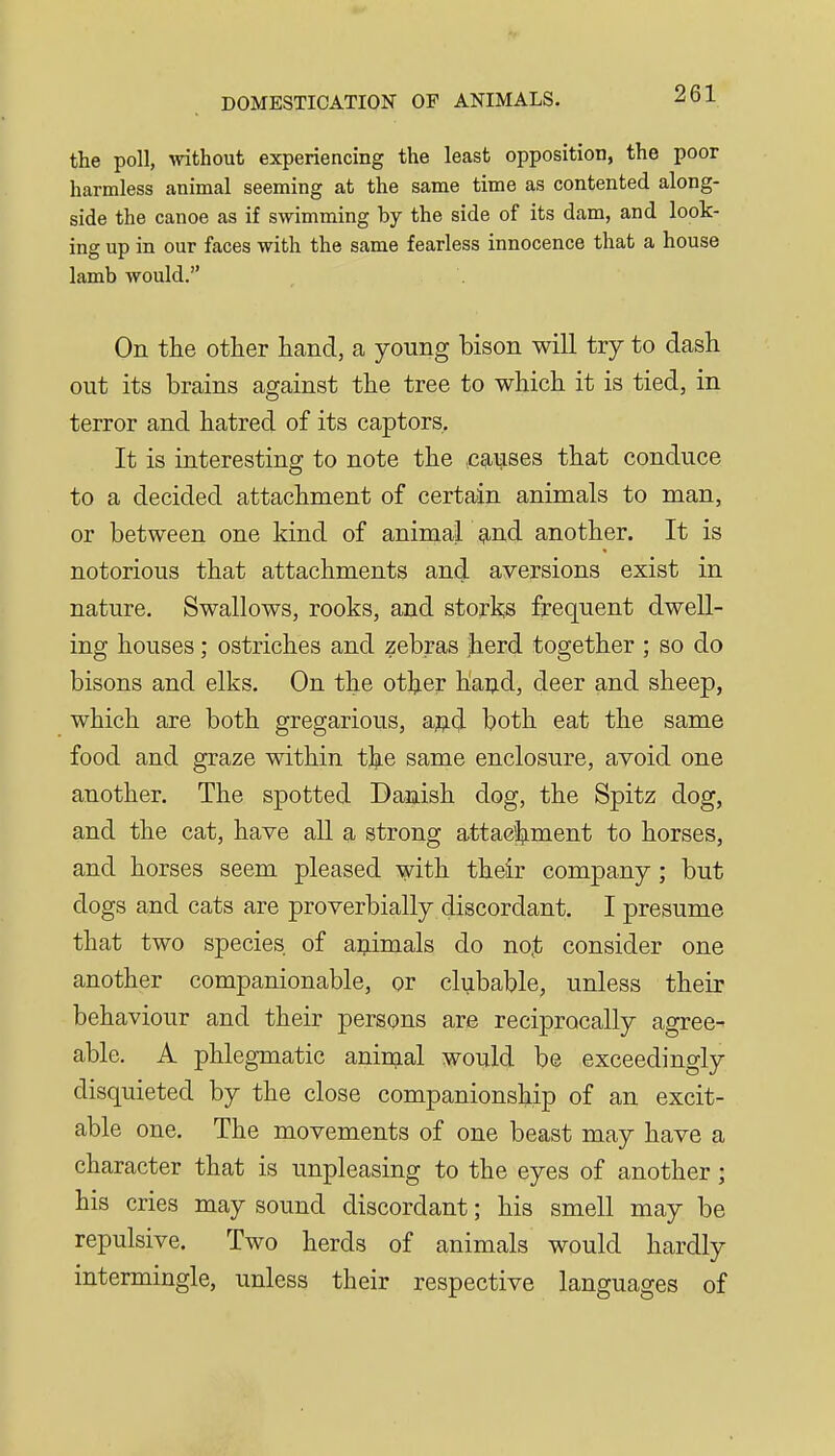the poll, without experiencing the least opposition, the poor harmless animal seeming at the same time as contented along- side the canoe as if swimming by the side of its dam, and look- ing up in our faces with the same fearless innocence that a house lamb would. On the other hand, a young bison will try to dash out its brains against the tree to which it is tied, in terror and hatred of its captors. It is interesting to note the .causes that conduce to a decided attachment of certain animals to man, or between one kind of animal ^.nd another. It is notorious that attachments and ayersions exist in nature. Swallows, rooks, and storks frequent dwell- ing houses; ostriches and zebras herd together ; so do bisons and elks. On the otljer haud, deer and sheep, which are both gregarious, ajjd both eat the same food and graze within t^ie same enclosure, avoid one another. The spotted Danish dog, the Spitz dog, and the cat, have all a strong attacliment to horses, and horses seem pleased with their company; but dogs and cats are proverbially discordant. I presume that two species of animals do no^; consider one another companionable, or clubable, unless their behaviour and their persons are reciprocally agree- able. A phlegmatic aninial would be exceedingly disquieted by the close companionship of an excit- able one. The movements of one beast may have a character that is unpleasing to the eyes of another; his cries may sound discordant; his smell may be repulsive. Two herds of animals would hardly intermingle, unless their respective languages of