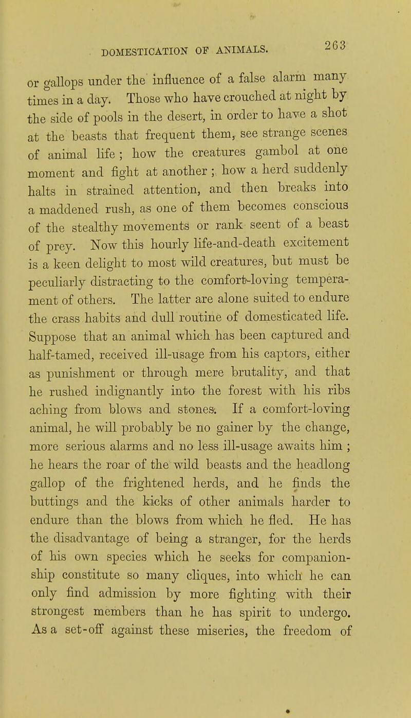 or gallops under the influence of a false alarm many times in a day. Those who have crouched at night by the side of pools in the desert, in order to have a shot at the beasts that frequent them, see strange scenes of animal life; how the creatures gambol at one moment and fight at another; how a herd suddenly halts in strained attention, and then breaks into a maddened rush, as one of them becomes conscious of the stealthy movements or rank scent of a beast of prey. Now this hourly life-and-death excitement is a keen delight to most wild creatures, but must be peculiarly distracting to the comfort-loving tempera- ment of others. The latter are alone suited to endure the crass habits and dull routine of domesticated life. Suppose that an animal which has been captured and half-tamed, received ill-usage from his captors, either as punishment or through mere brutality, and that he rushed indignantly into the forest with his ribs aching from blows and stones-. If a comfort-loving animal, he will probably be no gainer by the change, more serious alarms and no less ill-usage awaits him ; he hears the roar of the wild beasts and the headlong gallop of the frightened herds, and he finds the buttings and the kicks of other animals harder to endure than the blows from which he fled. He has the disadvantage of being a stranger, for the herds of his own species which he seeks for companion- ship constitute so many cliques, into which he can only find admission by more fighting with their strongest members than he has spirit to undergo. Asa set-ofl against these miseries, the freedom of