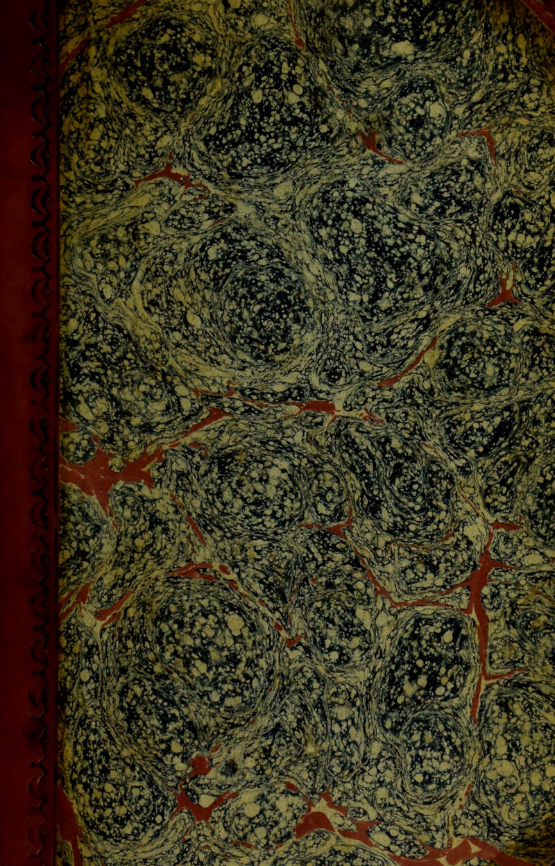 xb'M *tV> v^^flsL.'iP^^? ?N0Mb^?r <^A!z ‘j^rvrO^ifc *