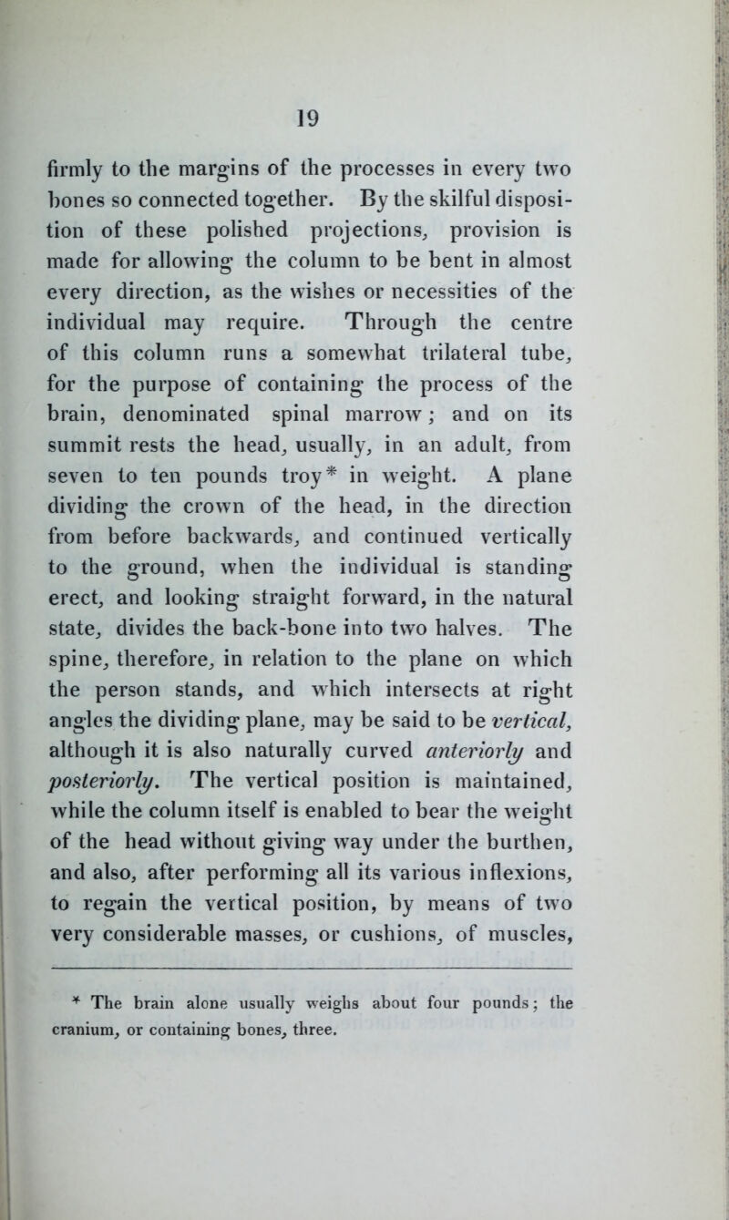 firmly to the margins of the processes in every two bones so connected together. By the skilful disposi- tion of these polished projections, provision is made for allowing the column to be bent in almost every direction, as the wishes or necessities of the individual may require. Through the centre of this column runs a somewhat trilateral tube, for the purpose of containing the process of the brain, denominated spinal marrow; and on its summit rests the head, usually, in an adult, from seven to ten pounds troy* in weight. A plane dividing the crown of the head, in the direction from before backwards, and continued vertically to the ground, when the individual is standing erect, and looking straight forward, in the natural state, divides the back-bone into two halves. The spine, therefore, in relation to the plane on which the person stands, and which intersects at right angles the dividing plane, may be said to be vertical, although it is also naturally curved anter^iorb/ and posteriorli/. The vertical position is maintained, while the column itself is enabled to bear the weight of the head without giving way under the burthen, and also, after performing all its various inflexions, to regain the vertical position, by means of two very considerable masses, or cushions, of muscles, The brain alone usually weighs about four pounds; the cranium, or containing bones, three.