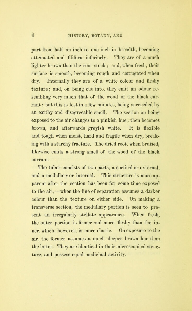 part from half an inch to one inch in breadth, becoming attenuated and filiform inferiorly. They are of a much lighter brown than the root-stock; and, when fresh, their surface is smooth, becoming rough and corrugated when dry. Internally they are of a white colour and fleshy texture; and, on being cut into, they emit an odour re- sembling very much that of the wood of the black cur- rant ; hut this is lost in a few minutes, being succeeded by an earthy and disagreeable smell. The section on being exposed to the air changes to a pinkish hue; then becomes brown, and afterwards greyish white. It is flexible and tough when moist, hard and fragile when dry, break- ing with a starchy fracture. The dried root, when bruised, likewise emits a strong smell of the wood of the black currant. The tuber consists of two parts, a cortical or external, and a medullary or internal. This structure is more ap- parent after the section has been for some time exposed to the air,—when the line of separation assumes a darker colour than the texture on either side. On making a transverse section, the medullary portion is seen to pre- sent an irregularly stellate appearance. When fresh, the outer portion is firmer and more fleshy than the in- ner, which, however, is more elastic. On exposure to the air, the former assumes a much deeper brown hue than the latter. They are identical in their microscopical struc- ture, and possess equal medicinal activity.