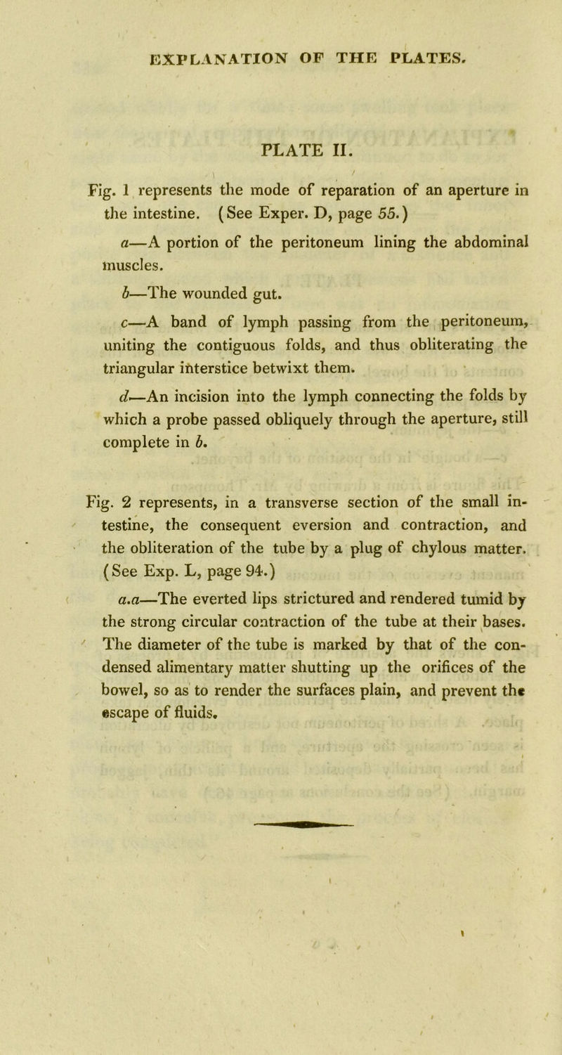 PLATE II. • i ' Fig. 1 represents the mode of reparation of an aperture in the intestine. (See Exper. D, page 55.) a—A portion of the peritoneum lining the abdominal muscles. b—The wounded gut. c—A band of lymph passing from the peritoneum, uniting the contiguous folds, and thus obliterating the triangular interstice betwixt them. d—An incision into the lymph connecting the folds by which a probe passed obliquely through the aperture, still complete in b. Fig. 2 represents, in a transverse section of the small in- testine, the consequent eversion and contraction, and the obliteration of the tube by a plug of chylous matter. (See Exp. L, page 94.) a.a—The everted lips strictured and rendered tumid by the strong circular contraction of the tube at their bases. The diameter of the tube is marked by that of the con- densed alimentary matter shutting up the orifices of the bowel, so as to render the surfaces plain, and prevent the escape of fluids.
