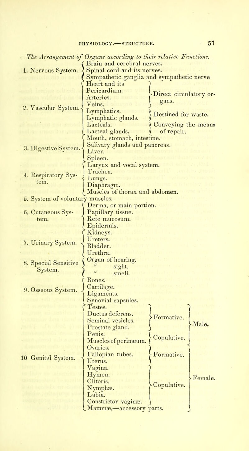 PHYSIOLOGY, -STRUCTURE. 51 The Arrangement of Organs according to their relative Functions. C Brain and cerebral nerves. 1. Nervous System. < Spinal cord and its nerves. ( Sympathetic ganglia and sympathetic nerve C Heart and its ~| •Direct circulatory or- gans. 2. Vascular System. < 3. Digestive System. 4. Respiratory Sys tern. Pericardium. Arteries. Veins. Lymphatics. Lymphatic glands Lacteals. Lacteal glands. Mouth, stomach, intestine Salivary glands and pancreas. Liver. Spleen. Larynx and vocal system. Trachea. Lungs. Diaphragm. Muscles of thorax and abdomen. 5. System of voluntary muscles. C Derma, or main portion. 6. Cutaneous Sys- J Papillary tissue. rem. ] Rete mucosum. / Epidermis. C Kidneys. ^ TT . r. . Ureters. /.Urinary System. J Bkdder> I Urethra, f Organ of hearing. )  sight. (  smell, f Bones. J Cartilage. | Ligaments. | Synovial capsules C* Testes. Ductus deferens. Seminal vesicles. Prostate gland. Penis. ) -J Muscles of perinaeum. )  Ovaries. ) Fallopian tubes. Uterus. Vagina. Hymen. Clitoris. Nymphae. Labia. Constrictor vaginae. . Mamma?,—accessory parts | Destined for waste. ^ Conveying the meana of repair. 8. Special Sensitive System. 9. Osseous System. 10 Genital System. < ■ Formative. ative. Formative. > Copulative. > Male. Female.