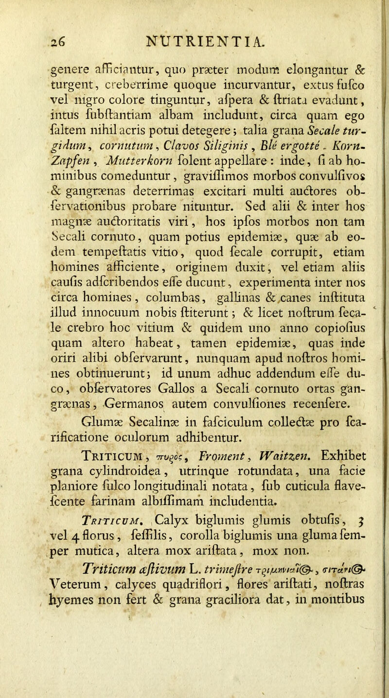 genere afficiantur, quo praeter modum elongantur & turgent, creberrime quoque incurvantur, extusfufco vel nigro colore tinguntur, afpera & ftriata evadunt, intus fubfbantiam albam includunt, circa quam ego faltem nihil acris potui detegere; talia grana Secale tur- gidum , cornutum, Clavos Siliginis , Bit: ergotte . Korn- Zapfen , Mutterkorn folent appellare : inde, fi ab ho- minibus comeduntur, graviflimos morbos convulfivos & gangraenas deterrimas excitari multi au&ores ob- fervationibus probare nituntur. Sed alii & inter hos magnae auctoritatis viri, hos ipfos morbos non tam Secali cornuto, quam potius epidemise, quae ab eo- dem tempeftatis vitio, quod fecale corrupit, etiam homines afficiente, originem duxit, vel etiam aliis caufis adfcribendos efle ducunt, experimenta inter nos circa homines , columbas, gallinas & canes inftituta illud innocuum nobis ftiterunt; & licet noftrum feca- le crebro hoc vitium & quidem uno anno copiofius quam altero habeat, tamen epidemise, quas inde oriri alibi obfervarunt, nunquam apud noftros homi- nes obtinuerunt 5 id unum adhuc addendum elfe du- co, obfervatores Gallos a Secali cornuto ortas gan- graenas , Germanos autem convulfiones recenfere. Glumae Secalinae in fafciculum colledtse pro fca- rificatione oculorum adhibentur. Triticum, Proment, Waitzen. Exhibet grana cylindroidea, utrinque rotundata, una facie planiore fulco longitudinali notata, fub cuticula flave- Icente farinam albiffimam includentia. Triticum. Calyx biglumis glumis obtufis, ? vel 4 florus, feffilis, corolla biglumis una gluma fem- per mutica, altera mox ariftata, mox non. Triticum ajlivum L. trimefire T^t/un>i*7@-, «t/t«<■/©- Veterum, calyces quadriflori, flores ariftati, noftras hyemes non fert & grana graciliora dat, in montibus