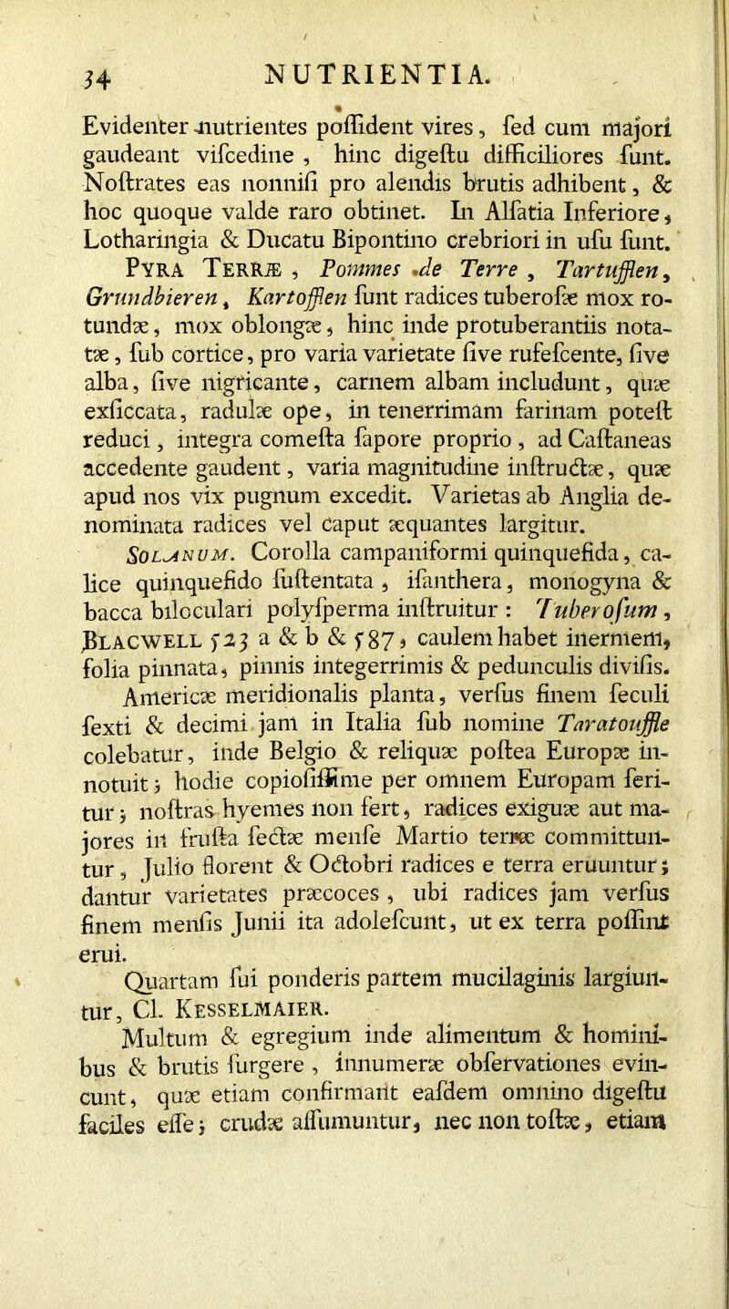 Evidenter Jiutrientes poflident vires, fed cum majori gaudeant vifcedine , hinc digeftu difficiliores funt. Noftrates eas nonnifi pro alendis brutis adhibent, & hoc quoque valde raro obtinet. In Alfatia Inferiore, Lotharingia & Ducatu Bipontino crebriori in ufu funt. Pyra TerRie , Pommes de Terre , Tartufflen, Grundbieren t Kartofflen funt radices tuberofae mox ro- tundae , mox oblongae, hinc inde protuberandis nota- tae , fub cortice, pro varia varietate five rufefcente, live alba, five nigficante, carnem albam includunt, quae exficcata, radulae ope, in tenerrimam farinam poteft reduci, integra comefta fapore proprio , ad Caftaneas accedente gaudent, varia magnitudine in (tructae, quae apud nos vix pugnum excedit. Varietas ab Anglia de- nominata radices vel Caput aequantes largitur. Solanum. Corolla campaniformi quinquefida, ca- lice quinquefido luftentata , ifanthera, monogyna & bacca biloculari polylperma inftruitur : Tuber ofum, Blacwell f23a&b&f87j caulem habet inermem, folia pinnata, pinnis integerrimis & pedunculis divifis. Aniencae meridionalis planta, verfus finem feculi fexti & decimi jam in Italia fub nomine Taratouffle colebatur, inde Belgio & reliquae poftea Europae in- notuit ; hodie copiofiffime per omnem Europam feri- tur $ noftras hyemes non fert, radices exiguae aut ma- jores in frufta feclae menfe Martio terree committun- tur , Julio florent & O&obri radices e terra eruuntur; dantur varietates praecoces , ubi radices jam verfus finem mentis Junii ita adolefcunt, ut ex terra poffint erui. Quartam fui ponderis partem mucilaginis largiun- tur, Cl. Kesselmaier. Multum & egregium inde alimentum & homini- bus & brutis furgere , innumerae obfervationes evin- cunt, quae etiam confirmant eafdem omnino digeftu faciles elfe; crudae alfumuntur, necnontoftae, etiam
