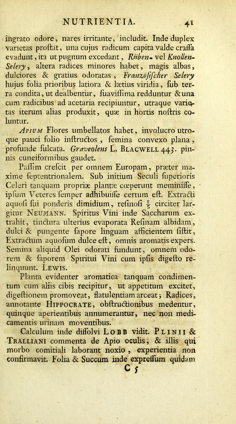 ingrato odore, nares irritante, includit. Inde duplex varietas proftat, una cujus radicum capita valde crafla evadunt, ita ut pugnum excedant, Ruben- vel Knollen- Selery, altera radices minores habet, magis albas, dulciores & gratius odoratas , Franzdfifcher Selery hujus folia prioribus latiora & laetius viridia, fub ter- ra condita, ut dealbentur, fuaviffima redduntur &una cum radicibus ad acetaria recipiuntur, utraque varia- tas iterum alias produxit, quae in hortis noftris co- luntur. Apium Flores umbellatos habet, involucro utro- que pauci folio inftru&os , femina convexo plana, profunde fulcata. Graveolens L. Blacwell 443. pin- nis cuneiformibus gaudet. Paffim crefcit per omnem Europam, praeter ma- xime feptentrionalem. Sub initium Seculi liiperioris Celeri tanquam propriae plantae coeperunt meminifle, ipfum Veteres femper adhibuiife certum eft. Extracti aquofi fui ponderis dimidium, refinofi ^ circiter lar- gitur Neumann. Spiritus Vini inde Saccharum ex- trahit, tinctura ulterius evaporata Relinam albidam, dulci & pungente fapore linguam afficientem liftit. Extractum aquofum dulce eft, omnis aromatis expers. Semina aliquid Olei odorati fundunt, omnem odo- rem & faporem Spiritui Vini cum iplis digefto re- linquunt. Lewis. Planta evidenter aromatica tanquam condimen- tum cum aliis cibis recipitur, ut appetitum excitet, digeftionem promoveat, flatulentiam arceat; Radices, annotante Hippocrate, obftru&ionibus medentur, quinque aperientibus annumerantur, nec non medi- camentis urinam moventibus. Calculum inde diflolvi L o B B vidit. Plinii & Tralliani commenta de Apio oculis, & illis qui morbo comitiali laborant noxio , experientia non confirmavit. Folia & Succum inde expreflum quidam Cf
