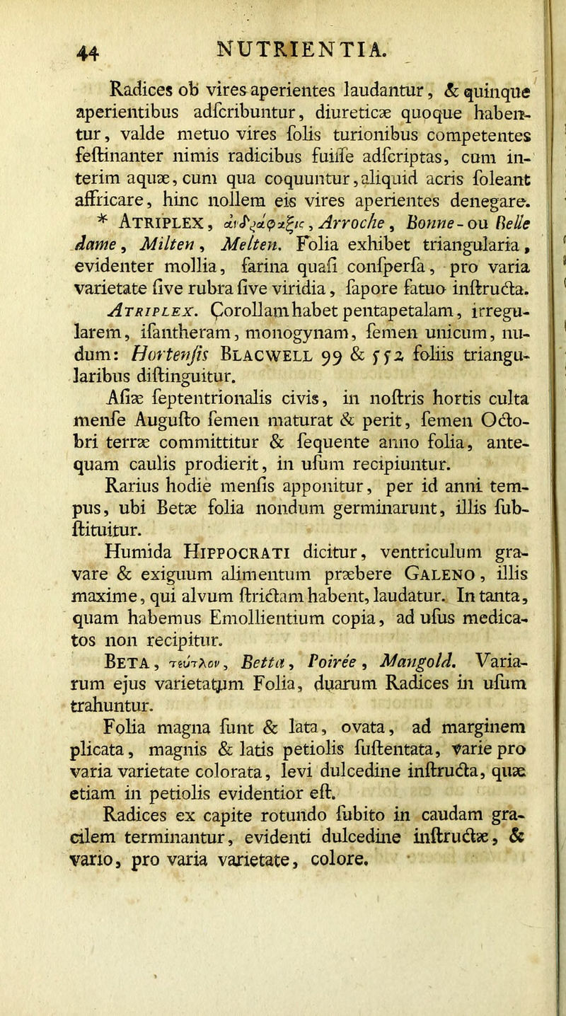 Radices ob vires aperientes laudantur, & quinque aperientibus adfcribuntur, diureticae quoque haben- tur , valde metuo vires folis turionibus competentes feftinanter nimis radicibus fuiffe adfcriptas, cum in- terim aquae, cum qua coquuntur,aliquid acris foleant affricare, hinc nollem eis vires aperientes denegare. * Atriplex, m ,Arroche, Bonne-on Phelle dame, Milten , Melten. Folia exhibet triangularia , evidenter mollia, farina quafi confperfa, pro varia varietate five rubra five viridia, fapore fatuo inftruda. Atriplex. £orollamhabet pentapetalam, irregu- larem, ifantheram, monogynam, femen unicum, nu- dum: Hortenjis Blacwell 99 & foliis triangu- laribus diftinguitur. Afiae feptentrionalis civis, in noftris hortis culta menfe Augufto femen maturat & perit, femen Oclo- bri terrae committitur & fequente anno folia, ante- quam caulis prodierit, in ufuni recipiuntur. Rarius hodie menfis apponitur, per id anni tem- pus, ubi Betae folia nondum germinarunt, illis fub- ftituitur. Humida Hippocrati dicitur, ventriculum gra- vare & exiguum alimentum praebere Galeno , illis maxime, qui alvum ftridam habent, laudatur. In tanta, quam habemus Emollientium copia, ad ufus medica- tos non recipitur. Beta, nurxov, Betta, Poiree, Mangold. Varia- rum ejus varietatem Folia, duarum Radices in ufum trahuntur. Folia magna funt & lata, ovata, ad marginem plicata, magnis & latis petiolis fuftentata, varie pro varia varietate colorata, levi dulcedine inftruda, quae etiam in petiolis evidentior eft. Radices ex capite rotundo fubito in caudam gra- cilem terminantur, evidenti dulcedine inftrudae, & vario, pro varia varietate, colore.