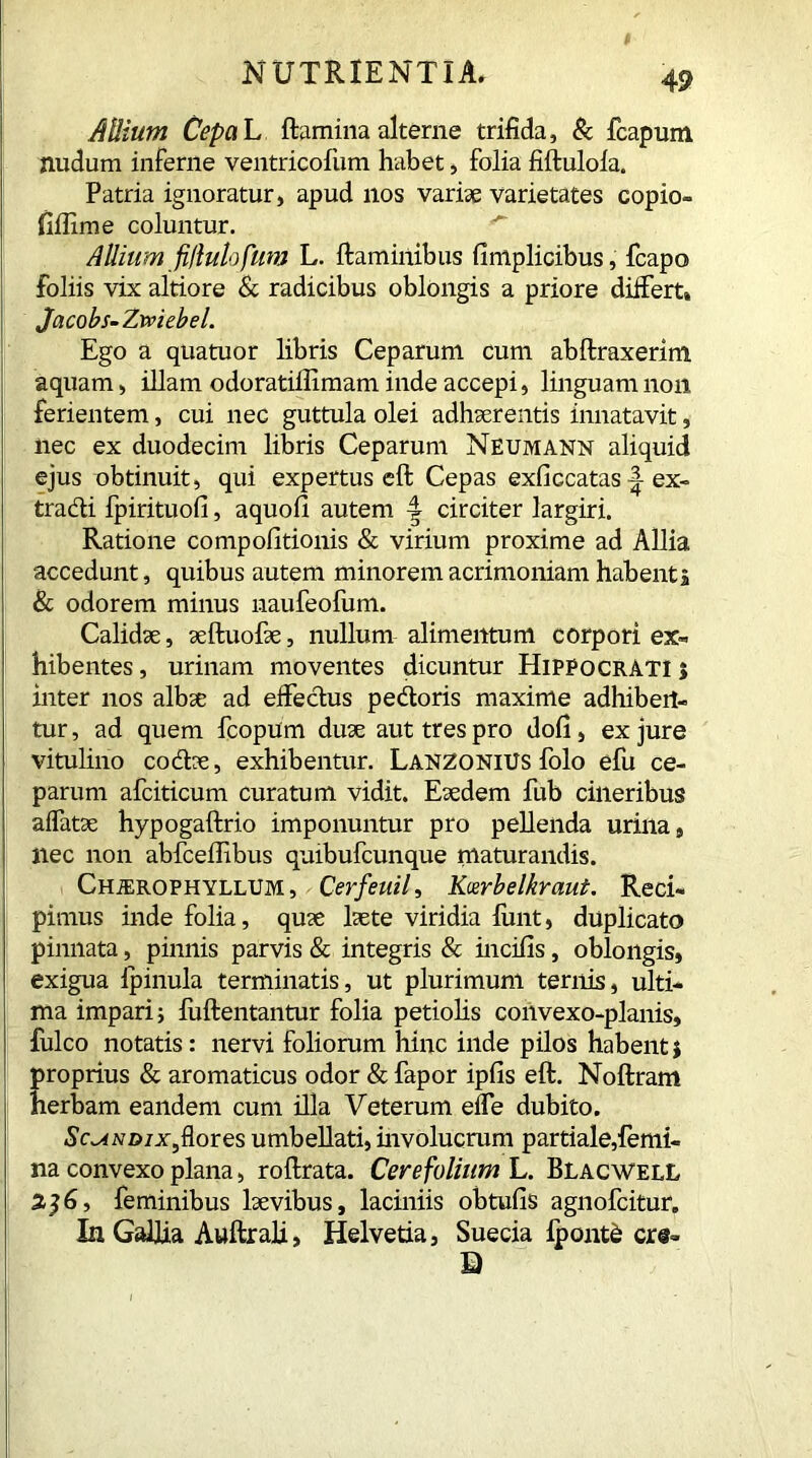 AUium CepaL flamina alterne trifida, & fcapum nudum inferne ventricofum habet, folia fiftuloia. Patria ignoratur, apud nos variae varietates copio- fiffime coluntur. Allium fiflutofum L. flaminibus fimplicibus, fcapo foliis vix altiore & radicibus oblongis a priore differt» Jacobs-Ztviebel. Ego a quatuor libris Ceparum cum abftraxerim aquam, illam odoratillimam inde accepi, linguam non ferientem, cui nec guttula olei adhaerentis innatavit, nec ex duodecim libris Ceparum Neumann aliquid ejus obtinuit, qui expertus eft Cepas exficcatas ex- tradi fpirituofi, aquofi autem 4 circiter largiri. Ratione compolitionis & virium proxime ad Allia accedunt, quibus autem minorem acrimoniam habenti & odorem minus naufeofum. Calidae, aeftuofae, nullum alimentum corpori ex- hibentes , urinam moventes dicuntur Hippocrati > inter nos albae ad effedus pedoris maxime adhiben- tur , ad quem fcopum duae aut tres pro dofi, ex jure vitulino codae, exhibentur. LanzoniUS folo efu ce- parum afciticum curatum vidit. Eaedem fub cineribus affatae hypogaftrio imponuntur pro pellenda urina, nec non abfceffibus quibufcunque maturandis. Ch;erophyllum , Cerfeuil, Kcerbelkraut. Reci- pimus inde folia, quae laete viridia fimt, duplicato pinnata, pinnis parvis & integris & incilis, oblongis, exigua ipinula terminatis, ut plurimum ternis, ulti- ma impari; luftentantur folia petiolis convexo-planis, fulco notatis: nervi foliorum hinc inde pilos habent 5 proprius & aromaticus odor & fapor ipfis eft. Noftram herbam eandem cum illa Veterum effe dubito. SoiwB/Xjflores umbellati, involucrum partiale,femi- na convexo plana, roftrata. Cere folium L. Blacwell 3^6, feminibus laevibus, laciniis obtufis agnofcitur. In Gallia Awftrali, Helvetia, Suecia Ipontd cre- E)