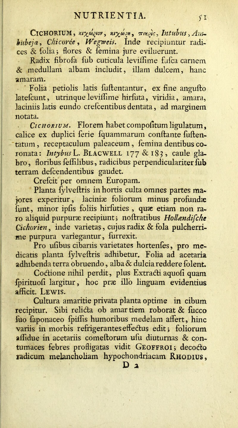 n Cichorium, y.i^d^iov, ttik^c. Intubus>Am- bubeja, Chi corde, Wegweis. Inde recipiuntur radi- ces & folia i flores & femina jure eviluerunt. Radix fibrofa fub cuticula leviffime fufca carnem. & medullam albam includit, illam dulcem, hanc amaram. Folia petiolis latis fuftentantur, ex fine angufto latefcunt, utrinqueleviffime hirfuta, viridia, amara, laciniis latis eundo crefcentibus dentata, ad marginem notata. Cichorium. Florem habet compofitum figulatum, calice ex duplici ferie fquammarum conflante fuften- tatum, receptaculum paleaceum, femina dentibus co- ronata: Intybus L. Blacwell 177 & 183, caule gla- bro, floribus feflilibus, radicibus perpendiculariterfub terram defcendentibus gaudet. Crefcit per omnem Europam. Planta fylveftris in hortis culta omnes partes ma- jores experitur, laciniae foliorum minus profundae funt, minor ipfis foliis hirfuties , quae etiam non ra- ro aliquid purpurae recipiunt; noftratibus HolUndifche Cichorien, inde varietas, cujus radix & fola pulcherri- me purpura variegantur, furrexit. Pro ufibus cibariis varietates hortenfes, pro me- dicatis planta fylveftris adhibetur. Folia ad acetaria adhibenda terra obruendo, alba & dulcia reddere folent. Codlione nihil perdit, plus Extradli aquofi quam Ipirituofi largitur, hoc prae illo linguam evidentius afficit. Lewis. Cultura amaritie privata planta optime in cibum recipitur. Sibi reli&a ob amar tiem roborat & liicco fuo faponaceo fpiffis humoribus medelam affert, hinc variis in morbis refrigeranteseffedus edit; foliorum affidue in acetariis comeftorum ufu diuturnas & con- tumaces febres profligatas vidit Geoffroi; decocfto radicum melancholiam hypochondriacam Rhodius,