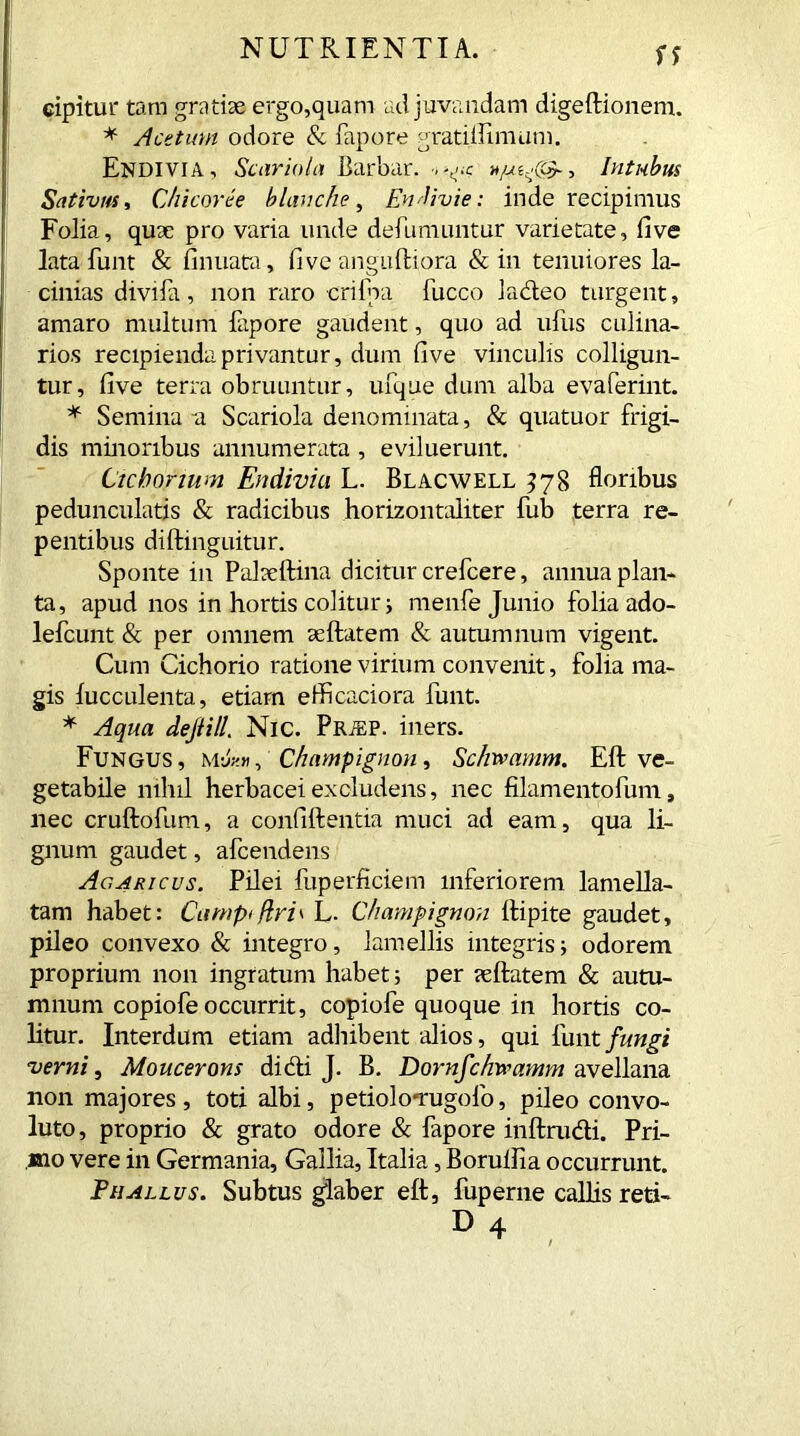 ss cipitur tara gratiae ergo,quam adjuvandam digeftionem. * Acetum odore & fapore gratiilimum. Endivia, Satriola Barbar. h/u^Cc?-, Intubus Sativus, Chicoree blanche, Endivie: inde recipimus Folia, quae pro varia unde defitmimtur varietate, live lata funt & finuata, five anguftiora & in tenuiores la- cinias divifa, non raro cribra fucco ladeo turgent, amaro multum fapore gaudent, quo ad ufus culina- rios recipienda privantur, dum five vinculis colligun- tur, live terra obruuntur, ufque dum alba evaferint. * Semina a Scariola denominata, & quatuor frigi- dis minoribus annumerata , eviluerunt. Cichorium Endivia L. Blacwell 378 floribus pedunculatis & radicibus horizontaliter fub terra re- pentibus diftinguitur. Sponte in Palseftina dicitur crefcere, annua plan- ta, apud nos in hortis colitur i menfe Junio folia ado- lefcunt & per omnem seftatem & autumnum vigent. Cum Cichorio ratione virium convenit, folia ma- gis lucculenta, etiam efficaciora funt. * Aqua dejlill. NiC. PRiEP. iners. Fungus , m-T» , Champignon, Schwamm. Eft ve- getabile nihil herbacei excludens, nec filamentofum, nec cruftofum, a confiltentia muci ad eam, qua li- gnum gaudet, afcendens Agaricus. Pilei fuperficiem inferiorem lamella- tam habet: Camptfyri' L. Champignon Itipite gaudet, pileo convexo & integro, lamellis integris; odorem proprium non ingratum habet; per aeftatem & autu- mnum copiofe occurrit, copiofe quoque in hortis co- litur. Interdum etiam adhibent alios, qui funt fungi verni, Moucerons didi J. B. Dornfchwamm avellana non majores, toti albi, petiolo-rugofo, pileo convo- luto, proprio & grato odore & fapore inftrudi. Pri- mo vere in Germania, Gallia, Italia, Borulfia occurrunt. Phallus. Subtus glaber eft, fuperne callis reti-