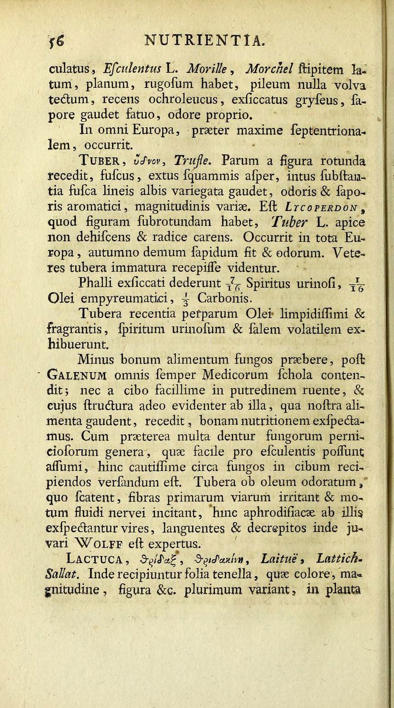 culatus, Efculentus L. Morille, Morcnel ftipitem la- tum, planum, rugofum habet, pileum nulla volva tedum, recens ochroleucus, exficcatus gryfeus, fa- pore gaudet fatuo, odore proprio. In omni Europa, praeter maxime feptentriona- lem, occurrit. Tuber, vJ'vov, Trufle. Parum a figura rotunda recedit, fufcus, extus fquammis afper, intus fubitan- tia fufca lineis albis variegata gaudet, odoris & fapo- ris aromatici, magnitudinis variae. Eft Ltcoperdon , quod figuram fubrotundam habet, Tuber L. apice non dehifcens & radice carens. Occurrit in tota Eu- ropa, autumno demum fapidum fit & odorum. Vete- res tubera immatura recepifle videntur. Phalli exficcati dederunt ^ Spiritus urinofi, Olei empyreumatici, 4- Carbonis. Tubera recentia perparum Olei- limpidiffimi & fragrantis, fpiritum urinofum & falem volatilem ex- hibuerunt. Minus bonum alimentum fungos praebere, poll Galenum omnis femper Medicorum fchola conten- dit ; nec a cibo facillime in putredinem ruente, & cujus ftrudura adeo evidenter ab illa, qua noftra ali- menta gaudent, recedit, bonamnutritionemexfpeda- mus. Cum praeterea multa dentur fungorum perni- cioforum genera , quae facile pro efculentis poflunt aflumi, hinc cautiffime circa fungos in cibum reci- piendos verfandum eft. Tubera ob oleum odoratum, quo fcatent, fibras primarum viarum irritant & mo- tum fluidi nervei incitant, hinc aphrodifiacae. ab illis exfpedanturvires, languentes & decrepitos inde ju- vari Wolff eft expertus. Lactuca, dA^/c/Ww, Laitue, Lattich- Saliat. Inde recipiuntur folia tenella, quae colore , ma- gnitudine , figura &c. plurimum variant, in planta