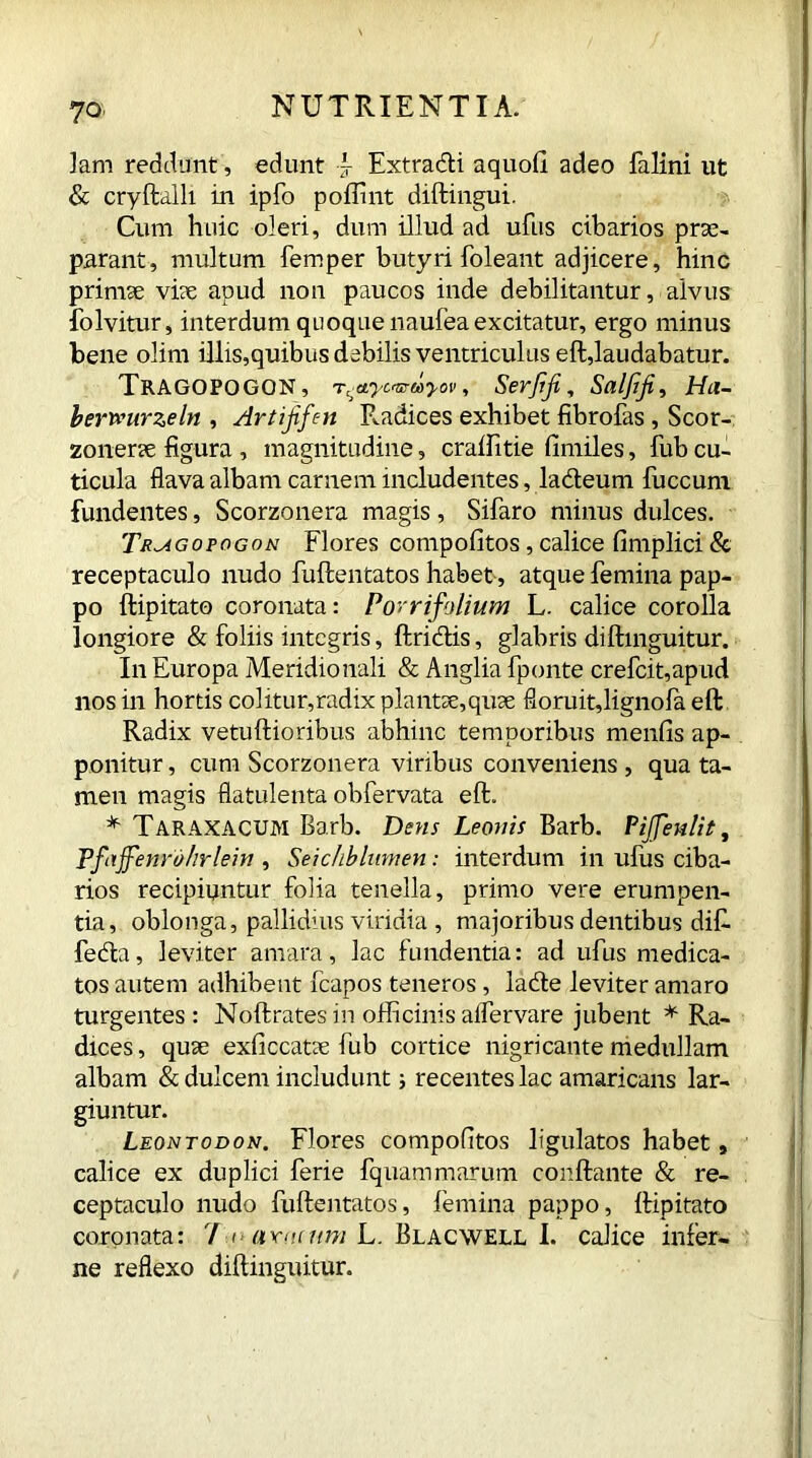 7Q* lam reddunt, edunt j- Extradti aquofi adeo falini ut & cryftalli in ipfo poffint diftingui. Cum huic oleri, dum illud ad ufus cibarios prae- parant, multum Temper butyri foleant adjicere, hinc primae viae apud non paucos inde debilitantur, alvus folvitur, interdum quoque naufea excitatur, ergo minus bene olim illis,quibus debilis ventriculus eft,laudabatur. TrAGOPOGON, T^ctycurmyov, Serffi, Salfifi, Hu- berts’urze In , Ari iff en Radices exhibet fibrofas , Scor- zonerse figura , magnitudine, craffitie fimiles, fub cu- ticula flava albam carnem includentes, la&eum fuccum fundentes, Scorzonera magis, Sifaro minus dulces. Tr^igopogon Flores compofitos, calice fimplici & receptaculo nudo fuftentatos habet, atque femina pap- po ftipitato coronata: Porrifolium L. calice corolla longiore & foliis integris, ftricftis, glabris diftinguitur. In Europa Meridionali & Anglia fponte crefcit,apud nos in hortis colitur,radix plantse,quse floruit,lignofa eft Radix vetuftioribus abhinc temporibus menfis ap- ponitur , cum Scorzonera viribus conveniens , qua ta- men magis flatulenta obfervata eft. * Taraxacum Barb. Dens Leonis Barb. Pijfenlit, Pfixffenro/irlein , Seichblnmen: interdum in ufus ciba- rios recipiuntur folia tenella, primo vere erumpen- tia, oblonga, pallidius viridia , majoribus dentibus dif. fe&a, leviter amara, lac fundentia: ad ufus medica- tos autem adhibent fcapos teneros, lacfte leviter amaro turgentes : Noftrates in officinis aifervare jubent * Ra- dices, quse exficcatie fub cortice nigricante medullam albam & dulcem includunt; recentes lac amaricans lar- giuntur. Leontodon. Flores compofitos ligulatos habet, calice ex duplici ferie fquarnmarum conftante & re- ceptaculo nudo fuftentatos, femina pappo, ftipitato coronata: 7-.» annum L. Blacwell I. calice infer- ne reflexo diftinguitur.