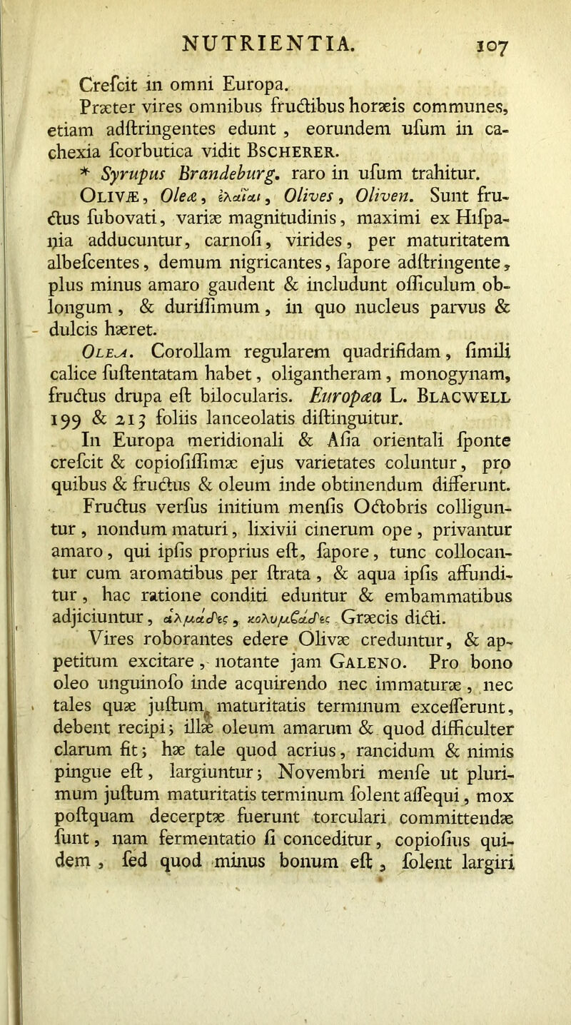Crefcit in omni Europa. Praeter vires omnibus frudibus horaeis communes, etiam adftringentes edunt , eorundem ufum in ca- chexia fcorbutica vidit Bscherer. * Syrupus Brandeburg. raro in ufum trahitur. OLlViE, Ole&, IXctiAt, Olives, Oliven. Sunt fru- dus fubovati, variae magnitudinis, maximi ex Hifpa- pia adducuntur, carnofi, virides, per maturitatem albefcentes, demum nigricantes, fapore adftringente, plus minus amaro gaudent & includunt ofllculum ob- longum , & duriilimum, in quo nucleus parvus & dulcis haeret. Ole^a. Corollam regularem quadrifidam, fimili calice fuftentatam habet, oligantheram, monogynam, frudus drupa eft bilocularis. Europaa L. Blacwell 199 & 21] foliis lanceolatis diftinguitur. In Europa meridionali & Afia orientali fponte crefcit & copiofiffimac ejus varietates coluntur, pro quibus & frudus & oleum inde obtinendum differunt. Frudus verfus initium menfis Odobris colligun- tur , nondum maturi, lixivii cinerum ope , privantur amaro, qui ipfis proprius eft, fapore, tunc collocan- tur cum aromatibus per ftrata , & aqua ipfis affundi- tur , hac ratione conditi eduntur & embammatibus adjiciuntur, aV, y.oXv/uCctJ'^ Gr3ecis didi. Vires roborantes edere Olivae creduntur, & ap- petitum excitare, notante jam Galeno. Pro bono oleo unguinofo inde acquirendo nec immaturae , nec , tales quae juftuny maturitatis terminum excefferunt, debent recipi; illae oleum amarum & quod difficulter clarum fit; hae tale quod acrius, rancidum & nimis pingue eft, largiuntur; Novembri menfe ut pluri- mum juftum maturitatis terminum folent affequi, mox poftquam decerptae fuerunt torculari committendae funt, nam fermentatio fi conceditur, copiofius qui- dem , fed quod minus bonum eft , folent largiri