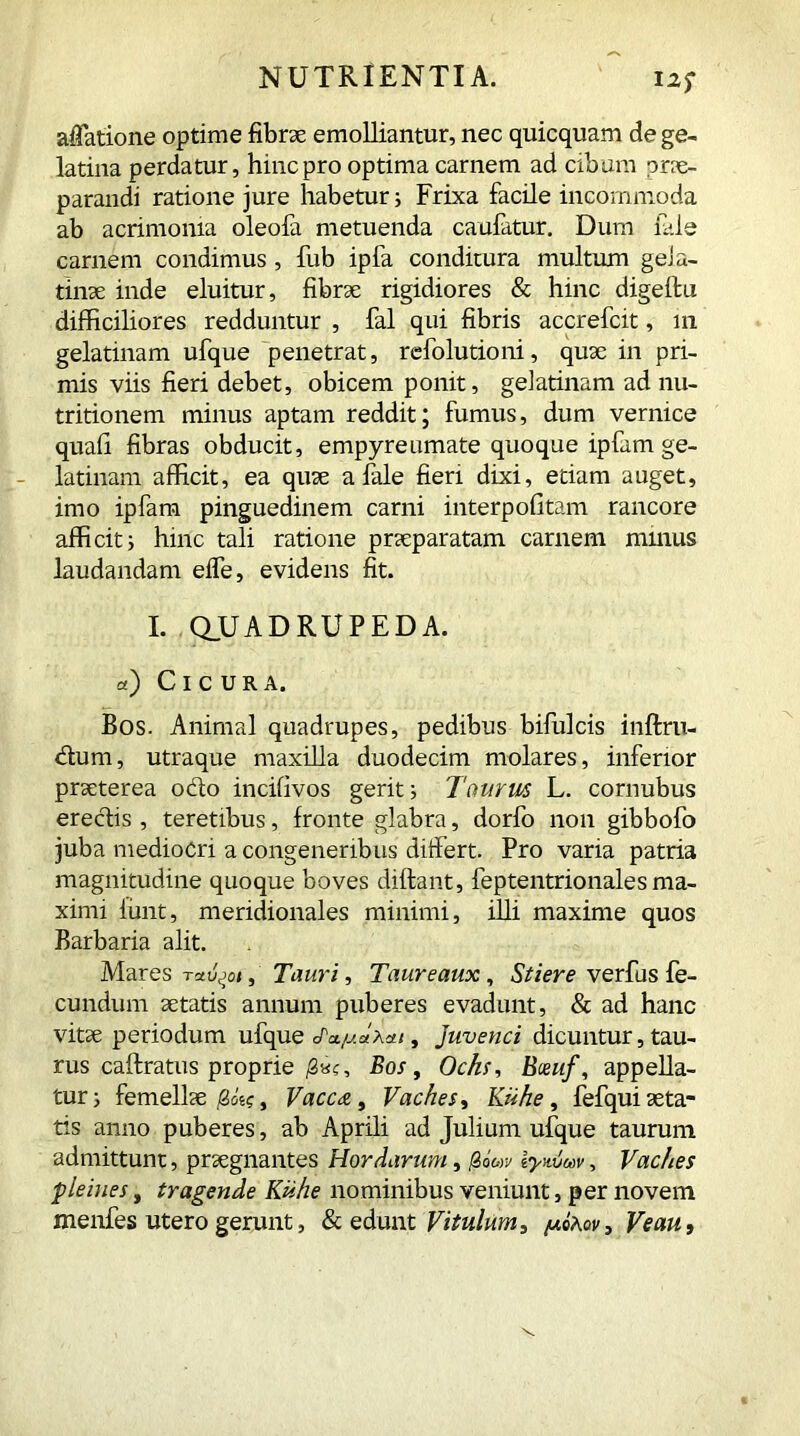 aflatione optime fibrae emolliantur, nec quicquam de ge- latina perdatur, hinc pro optima carnem ad cibum prae- parandi ratione jure habetur; Frixa facile incommoda ab acrimonia oleofa metuenda caufatur. Dum i ale carnem condimus, fub ipfa conditura multum gela- tinae inde eluitur, fibrae rigidiores & hinc digeflu difficiliores redduntur , fal qui fibris accrefcit, m gelatinam ufque penetrat, refolutioni, quae in pri- mis viis fieri debet, obicem ponit, gelatinam ad nu- tritionem minus aptam reddit; fumus, dum vernice quafi fibras obducit, empyreumate quoque ipfam ge- latinam afficit, ea quae a fale fieri dixi, edam auget, imo ipfam pinguedinem carni interpofitam rancore afficit5 hinc tali ratione praeparatam carnem minus laudandam effe, evidens fit. I. QUADRUPEDA. «) Cicura. Bos. Animal quadrupes, pedibus bifulcis inftrit- dum, utraque maxilla duodecim molares, inferior praeterea odo incifivos gerit; Taurus L. cornubus erectis, teretibus, fronte glabra, dorfo non gibbofo juba mediocri a congeneribus differt. Pro varia patria magnitudine quoque boves diftant, feptentrionales ma- ximi lunt, meridionales minimi, illi maxime quos Barbaria alit. Mares , Tauri, Taureaux, Stiere verfus fe- cundum aetatis annum puberes evadunt, & ad hanc vitae periodum ufque J'ct/j.dxat, juvenci dicuntur, tau- rus caffratus proprie /2«?, Bos, Ochs, Boeuf, appella- tur; femellae fid?, Vacca, Vaches, Kiihe , fefquiaeta- tis anno puberes, ab Aprili ad Julium ufque taurum admittunt, praegnantes Hordarum, /2oe»y iywjw, Vaches pleines, tragende Kiihe nominibus veniunt, per novem menfes utero gerunt, & edunt Vitulum, y.ir.ov. Ve au.