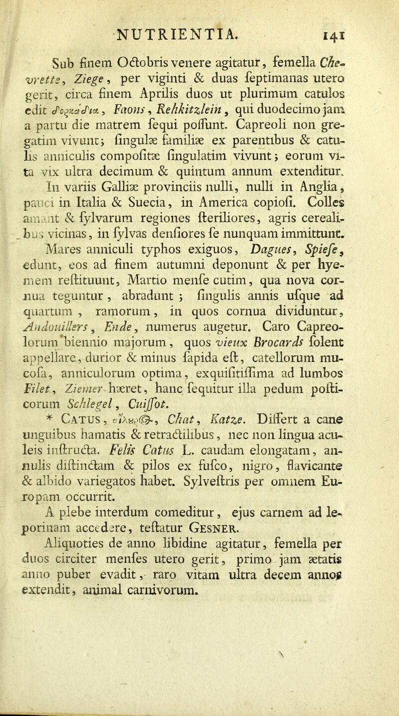 Sub finem Odobris venere agitatur, femella Che- vretts, Ziege, per viginti & duas feptimanas utero gerit, circa finem Aprilis duos ut plurimum catulos edit cPo^idJ'iA, Faons, Rehkitzlein, qui duodecimo jam a partu die matrem fequi poflunt. Capreoli non gre- gatim vivunt3 lingulae familiae ex parentibus & catu- lis anniculis compofitse fingulatim vivunt 3 eorum vi- ta vix ultra decimum & quintum annum extenditur.. I11 variis Galliae provinciis nulli, nulli in Anglia, pauci in Italia & Suecia, in America copiofi. Colles au, it & fylvarum regiones fteriliores, agris cereali- bus vicinas, in fylvas denfioresfe nunquam immittunt. Mares anniculi typhos exiguos, Dagues, Spiefe, edunt, eos ad finem autumni deponunt & per hye- mem reftituunt, Martio menfecutim, qua nova cor- nua teguntur , abradunt ; lingulis amiis ufque ad quartum, ramorum, in quos cornua dividuntur, Andouillers, En de, numerus augetur. Caro Capreo- lorum’biennio majorum, quos vieux Brocards folent appellare, durior & minus fapida eft, catellorum mu- cofa, anniculorum optima, exquifitillima ad lumbos Filet, Ziemer haeret, hanc fequitur illa pedum pofti- corum Schlegel, CuiJJbt. * Catus, rChat, Katze. Dilfert a cane unguibus hamatis & retradilibus, nec non lingua acu- leis inftruda. Felis Cat its L. caudam elongatam, an- nulis diftindam & pilos ex fufco, nigro, flavicante & albido variegatos habet. Sylveilris per omnem Eu- ropam occurrit. A plebe interdum comeditur, ejus carnem ad le- porinam accedere, teftatur Gesner. Aliquoties de anno libidine agitatur, femella per duos circiter menfes utero gerit, primo jam aetatis anno puber evadit, raro vitam ultra decem annos extendit, animal carnivorum.