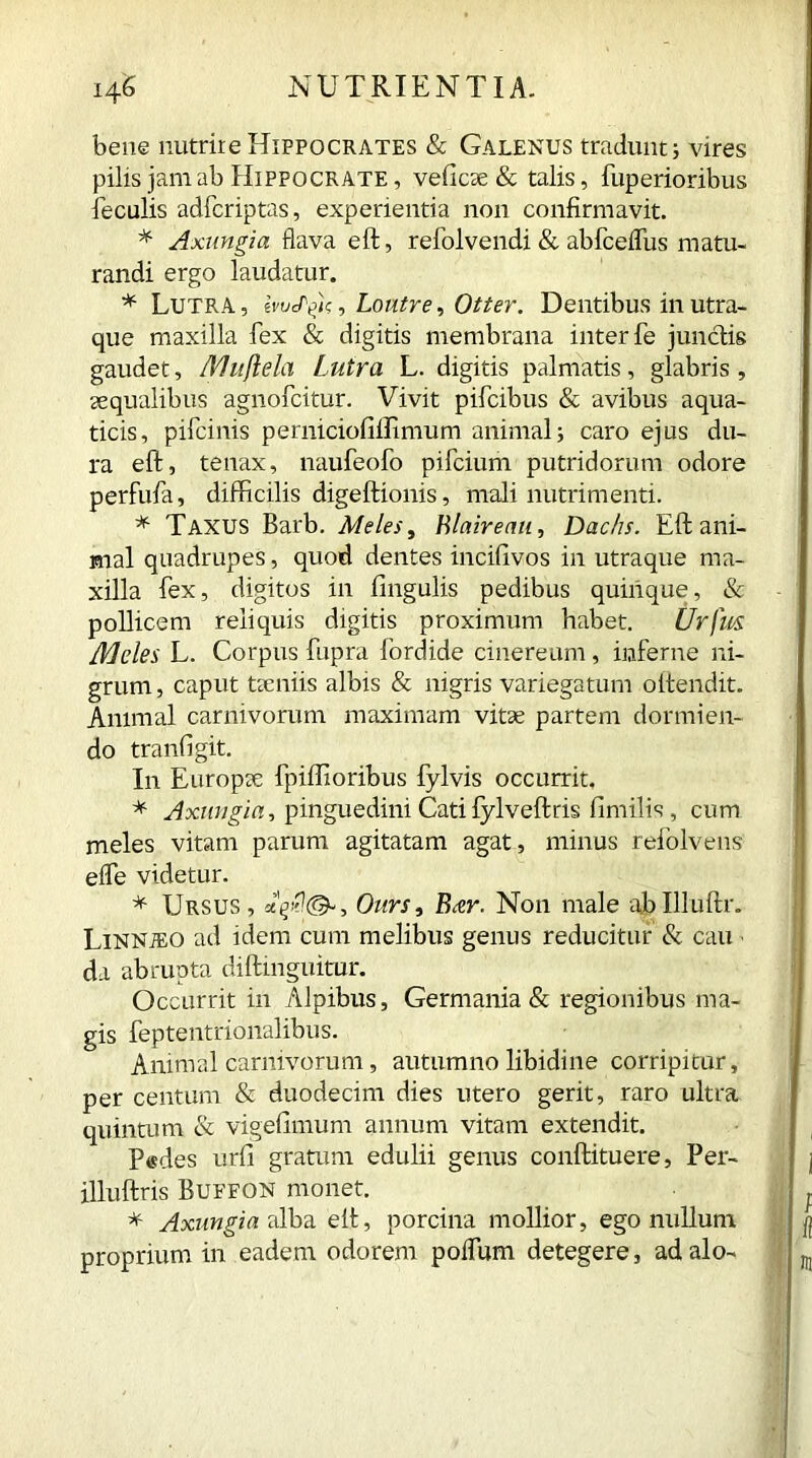 bene nutrire Hippocrates & Galenus tradunt; vires pilis jam ab Hippocrate , veficae & talis, fuperioribus feculis adfcriptas, experientia non confirmavit. * Axungia flava eft, refolvendi & abfceffus matu- randi ergo laudatur. * Lutra, evu^U, Loutre, Otter. Dentibus in utra- que maxilla fex & digitis membrana inter fe junctis gaudet, IV!uflela Lutra L. digitis palmatis, glabris, aequalibus agnofcitur. Vivit pifcibus & avibus aqua- ticis, pifcinis perniciofiffimum animal; caro ejus du- ra eft, tenax, naufeofo pifcium putridorum odore perfufa, difficilis digeftionis, mali nutrimenti. * Taxus Barb. Meles, Blaireau, Dachs. Eft ani- mal quadrupes, quod dentes incifivos in utraque ma- xilla fex, digitos in lingulis pedibus quinque, & pollicem reliquis digitis proximum habet. Urfm Meles L. Corpus fupra fordide cinereum, inferne ni- grum, caput taeniis albis & nigris variegatum oitendit. Animal carnivorum maximam vitae partem dormien- do tranfigit. In Europae fpiflioribus fylvis occurrit, * Axungia, pinguedini Cati fylveftris fimilis, cum meles vitam parum agitatam agat, minus refolvens effe videtur. * TJrsus, Ours, Bar. Non male ajbllluftr. Linnieo ad idem cum melibus genus reducitur & cau da abrupta diftinguitur. Occurrit in Alpibus, Germania & regionibus ma- gis feptentrionalibus. Animal carnivorum, autumno libidine corripitur, per centum & duodecim dies utero gerit, raro ultra quintum & vigefimum annum vitam extendit. Pedes urfi gratum edulii genus conftituere, Per- illuftris Buefon monet. * Axungia adba eft, porcina mollior, ego nullum proprium in eadem odorem poffum detegere, ad alo-