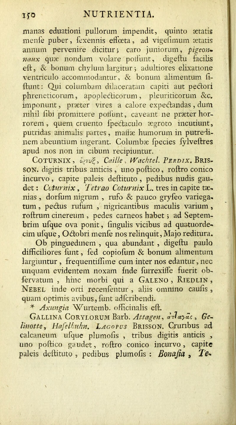 IfO manas eduationi pullorum impendit, quinto aetatis menfe puber, fexennis effoeta, ad vigefimum aetatis annum pervenire dicitur; caro juniorum, pigeon- minx quae nondum volare poliunt, digeftu facilis eft, & bonum chylum largitur 5 adultiores elixatione ventriculo accommodantur, & bonum alimentum fi- ftunt: Qui columbam dilaceratam capiti aut pedori phreneticorum, apopledicorum , pleuriticorum &c. imponunt, praeter vires a calore expedandas , dum nihil fibi promittere poliunt, caveant ne praeter hor- rorem , quem cruento fpedaculo aegroto incutiunt, putridas animalis partes, maiiae humorum in putredi- nem abeuntium ingerant. Columbae fpecies fylveftres apud nos non in cibum recipiuntur. Coturnix, Caille, Wachtel. Perdix. Bris- SON. digitis tribus anticis, unopoftico, roffcro conico incurvo, capite paleis deftituto , pedibus nudis gau- det : Coturnix, Tetrao Coturnix L. tres in capite tae- nias , dorfum nigrum , rufo & pauco gryfeo variega- tum , pedus rufum , nigricantibus maculis varium, roftrum cinereum , pedes carneos habet; ad Septem- brim ufque ova ponit, lingulis vicibus ad quatuorde- cim ufque, Odobri menfe nos relinquit, Majo reditura. Ob pinguedinem , qua abundant , digeftu paulo difficiliores funt, fed copiofum & bonum alimentum largiuntur , frequentiffime cum inter nos edantur, nec linquam evidentem noxam Inde furrexilfe fuerit ob- fervatum , hinc morbi qui a Galeno , Riedlin , Nebel inde orti recenfentur , aliis omnino caulis , quam optimis avibus,funt adferibendi. * Axungia Wurtemb. officinalis eft. Gallina Corylorum Barb. Attagen, , Ge- linotte, HafelTihn. Lagopus Brisson. Cruribus ad calcaneum ufque plumofis , tribus digitis anticis , uno poftico gaudet, roftro conico incurvo, capite paleis deftituto , pedibus plumofis : Bonajia , Te-