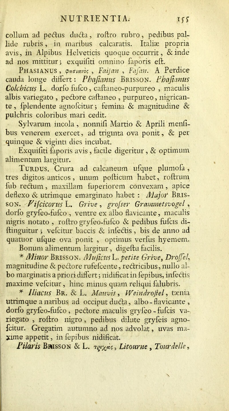 collum ad pedus ducta, roftro rubro, pedibus pal- lide rubris, in maribus calcaratis. Italiae propria avis, in Alpibus Helveticis quoque occurrit, &inde ad nos mittitur 5 exquifiti omnino faporis eft. Phasianus , <pa.<navk , Faijan , Fafim. A Perdice cauda longe differt: Phnjianus Brisson. Fhcijianus Colchicus L. dorfo fufco, caftaneo-purpureo , maculis albis variegato , pedore caftaneo , purpureo, nigrican- te , fplendente agnofcitur j femina & magnitudine & pulchris coloribus mari cedit. Sylvarum incola, nonnifi Martio & Aprili menfi- bus venerem exercet, ad triginta ova ponit, & per quinque & viginti dies incubat. Exquifiti fiporis avis , facile digeritur, & optimum alimentum largitur. Turdus. Crura ad calcaneum ufque plumofa, tres digitos anticos, unum pollicum habet, roftrum fub redum, maxillam fuperiorem convexam, apice deflexo & utrimque emarginato habet : Major Bris- son. Vifcicorus L. Grive , grojser Grammetsvogel, dorfo gryfeo-fufco , ventre ex albo flavicante, maculis nigris notato , roftro gryfeo-fufco & pedibus fufcis di- ftinguitur 5 vefcitur baccis & infedis , bis de anno ad quatuor ufque ova ponit , optimus verfus hyemem. Bonum alimentum largitur, digeftu facilis. * Minor Brisson. Mu ficus L. petite Grive, Drojfel, magnitudine & pedore rufefcente, redricibus, nullo al- bo marginatis a priori differt; nidificat in fepibus, infectis maxime vefcitur, hinc minus quam reliqui falubris. * Iliacus Br. & L. Mauvis, Weindrojlel, taenia Utrimque a naribus ad occiput duda, albo - flavicante , dorfo gryfeo-fufco, pedore maculis gryfeo - fufcis va- riegato , roftro nigro , pedibus dilute gryfeis agno- fcitur. Gregatim autumno ad nos advolat, uvas ma- jume appetit, in fepibus nidificat. Pilaris Brisson & L. , Litourne, Tourdelle,