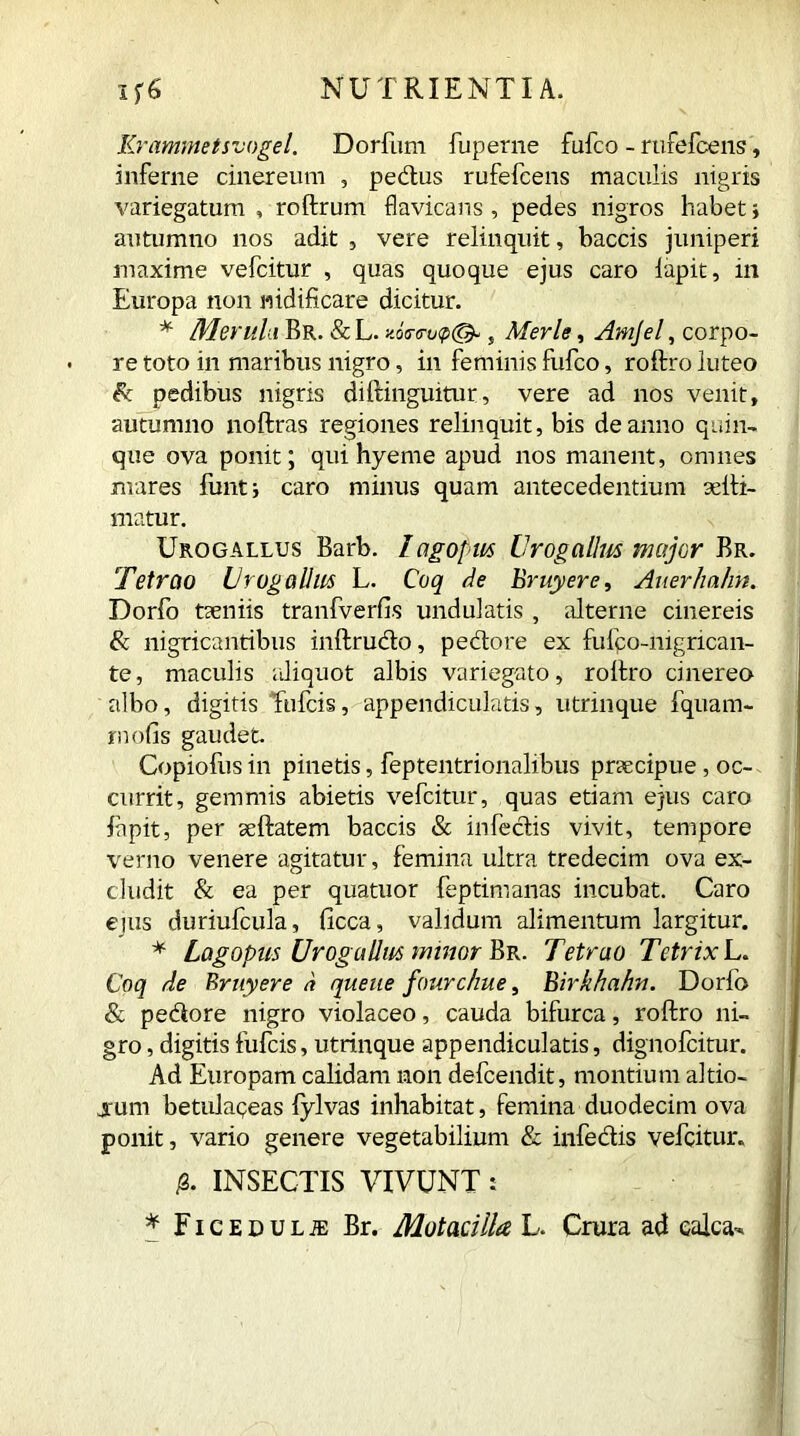 Krammetsvogel. Dorfum fuperne fufco - rufefcens, inferne cinereum , peplus rufefcens maculis nigris variegatum , roftrum flavicans , pedes nigros habet; autumno nos adit , vere relinquit, baccis juniperi maxime vefcitur , quas quoque ejus caro lapit, in Europa non nidificare dicitur. * Merula Br. &L. noa-<ru(p@- s Merle, Amjel, corpo- re toto in maribus nigro, in feminis fufco, roftro luteo & pedibus nigris diftinguitur, vere ad nos venit, autumno noftras regiones relinquit, bis de anno quin- que ova ponit; qui hyeme apud nos manent, omnes mares fiunt i caro minus quam antecedentium ad li- matur. Urogallus Barb. I a, g opus Urogallus major Br. Tetrao Urogallus L. Coq de Bruyere, Auerhahn. Dorfo tseniis tranfverfis undulatis , alterne cinereis & nigricantibus inftrudo, pedore ex fufico-mgncan- te, maculis aliquot albis variegato, roftro cinereo albo, digitis fufcis, appendicularis, utrinque fquam- rnofis gaudet Copiofus in pinetis, feptentrionalibus praecipue, oc- currit, gemmis abietis vefcitur, quas etiam ejus caro lapit, per aeftatem baccis & infedis vivit, tempore verno venere agitatur, femina ultra tredecim ova ex- cludit & ea per quatuor feptimanas incubat. Caro ejus duriufcula, ficca, validum alimentum largitur. * Lag opus Urogallus minor Br. Tetrao TetrixL. Coq de Bruyere a queue fourchue, Birkhahn. Dorfo & pedore nigro violaceo, cauda bifurca, roftro ni- gro , digitis fufcis, utrinque appendiculatis, dignofcitur. Ad Europam calidam non defcendit, montium altio- jrum betulageas fylvas inhabitat, femina duodecim ova ponit, vario genere vegetabilium & infedis vefcitur. /3. INSECTIS VIVUNT : * Ficedulje Br. Motacilla L. Crura ad calca-