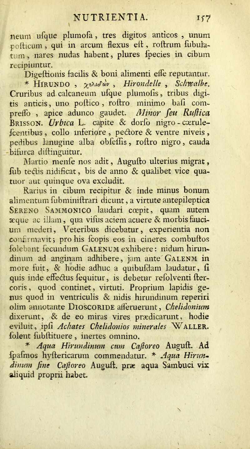 neum ufque plumofa, tres digitos anticos , unum pollicum , qui in arcum flexus elt, rollrum Tubula- tum , nares nudas habent, plures fpecies in cibum recipiuntur. Digeftionis facilis & boni alimenti elfe reputantur, * Hirundo , yjxHm , Hirondelle , Schvpa/bs, Cruribus ad calcaneum ufque plumofis, tribus digi- tis anticis, uno pollico , roftro minimo ball com- preflo , apice adunco gaudet. Minor feu Ruflica Brisson. Urbica L. capite & dorfo nigro - cxrule- fcentibus , collo mferipre , pedore & ventre niveis , pedibus lanugine alba/ obfeffis, roftro nigro, cauda bifurca diftinguitur. Martio rnenfe nos adit, Augufto ulterius migrat, fub tedis nidificat, bis de anno & qualibet vice qua- tuor aut quinque ova excludit. Rarius in cibum recipitur & inde minus bonum alimentum fubminiftrari dicunt, a virtute antepileptica Sereno Sammonico laudari coepit, quam autem aeque ac illam, qua vifus aciem acuere & morbis fauci- um mederi, Veteribus dicebatur, experientia non confirmavit; pro his fcopis eos in cineres combuftos folebant fecundum Galenum exhibere: nidum hirun- dinum ad anginam adhibere, jam ante Galenm in more fuit, & hodie adhuc a quibufdam laudatur, fi quis inde effedus fequitur, is debetur refolventi fter- coris, quod continet, virtuti. Proprium lapidis ge- nus quod in ventriculis & nidis hirundinum reperiri olim annotante Dioscoride alferuerunt, Chelidonium dixerunt, & de eo miras vires praedicarunt, hodie eviluit, ipfi Achates Chelidonios minerales Waller. folent fubftituere , inertes omnino. * Aqua Hirundinum cum Cajloreo Auguft. Ad fpafmos hyftericarum commendatur. * Aqua Hirun- dinum fine Cajloreo Auguft. prae aqua Sambuci vix aliquid proprii habet.