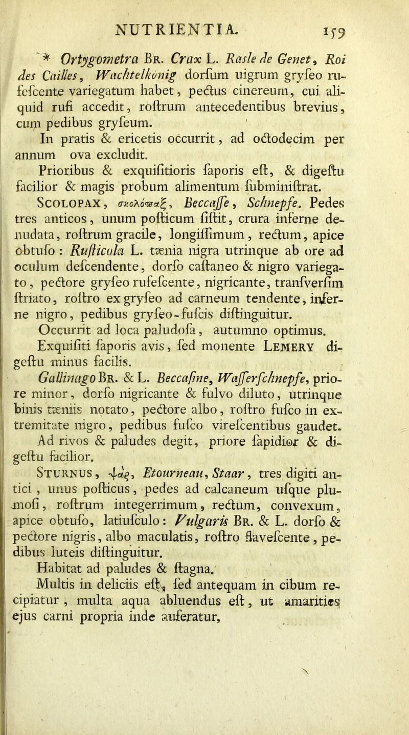 if9 * Ortygometra Br. CraxL. Basle de Genet, Roi Aes Cailles, Wachtelkonig dorfum uigrum gryfeo ru- fefcente variegatum habet, pedas cinereum, cui ali- quid rufi accedit, rollrum antecedentibus brevius, cum pedibus gryfeum. In pratis & ericetis occurrit, ad ododecim per annum ova excludit. Prioribus & exquifitioris faporis eft, & digeftu facilior & magis probum alimentum fubminiftrat. Scolopax, <tkoAoW| , BeccaJJe, Schnepfe. Pedes tres anticos, unum pollicum fillit, crura inferne de- nudata, rollrum gracile, longiffimum , redum, apice obtufo : Ruflicula L. tsenia nigra utrinque ab ore ad oculum defcendente, dorfo callaneo & nigro variega- to, pedore gryfeo rufefcente, nigricante, tranfverfim llriato, rollro ex gryfeo ad carneum tendente, infer- ne nigro, pedibus gryfeo-fufcis dillinguitur. Occurrit ad loca paludofa, autumno optimus. Exquiiiti faporis avis, fed monente Lemery di- gellu minus facilis. Gallmago Br. &L. Beccafine, JVaJJerJchnepfe, prio- re minor, dorfo nigricante & fulvo diluto, utrinque binis tseniis notato, pedore albo, rollro fufco in ex- tremitate nigro, pedibus fufco virefcentibus gaudet. Ad rivos & paludes degit, priore fapidior & di- geftu facilior. Sturnus, 4“£> Etourneau, Staar, tres digiti an- tici , unus pofticus, pedes ad calcaneum ufque plu- jnoli, rollrum integerrimum, redum, convexum, apice obtufo, latiufculo: Fulgaris Br. & L. dorfo & pedore nigris, albo maculatis, rollro flavefcente, pe- dibus luteis dillinguitur. Habitat ad paludes & llagna. Multis in deliciis elix, fed antequam in cibum re- cipiatur , multa aqua abluendus elt, ut amarities ejus carni propria inde auferatur.