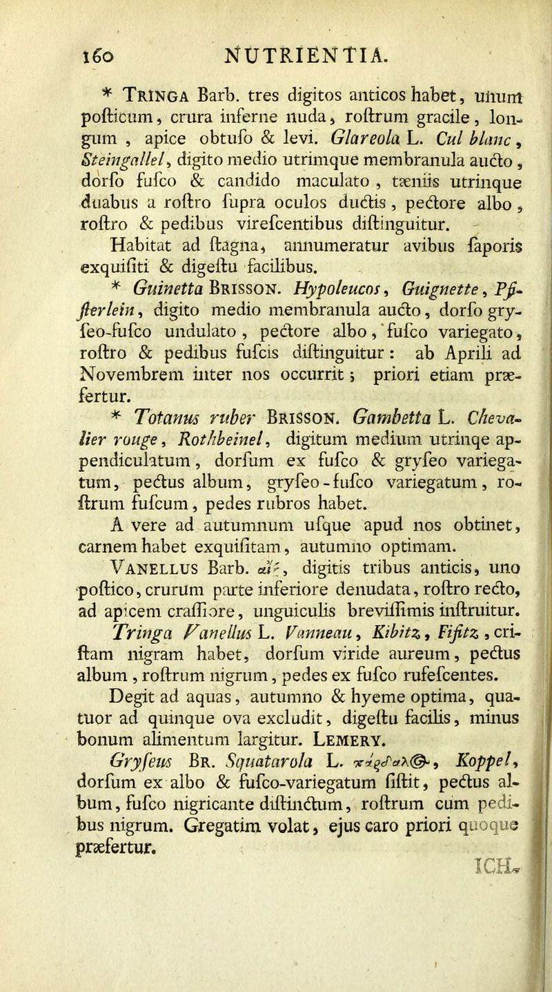 * TrINGA Barb, tres digitos anticos habet, uimm pofticum, crura inferne nuda * roftrum gracile, lon- gum , apice obtufo & levi. Glareola L. Cui blanc, Steingallel, digito medio utrimque membranula aucto , dorfo fufco & candido maculato , taeniis utrinque duabus a roftro fupra oculos ducitis, pedore albo, roftro & pedibus virefcentibus diftinguitur. Habitat ad ftagna, annumeratur avibus faporis exquifiti & digeftu facilibus. * Guinetta Brisson. Hypoleucos, Guignette, Pfi- jlerlein, digito medio membranula audo, dorfo gry- feo-fufco undulato, pedore albo,'fufco variegato, roftro & pedibus fufcis diftinguitur: ab Aprili ad Novembrem inter nos occurrit; priori etiam prae- fertur. * Totanm ruber Brisson. Gambetta L. Cheva- lier rouge, Rothbeinel, digitum medium utrinqe ap- pendiculatum, dorfum ex fufco & gryfeo variega- tum, pedus album, gryfeo-fufco variegatum, ro- ftrum fufcum, pedes rubros habet. A vere ad autumnum ufque apud nos obtinet, carnem habet exquifitam, autumno optimam. Vanellus Barb. , digitis tribus anticis, uno poftico, crurum parte inferiore denudata, roftro redo, ad apicem crafliore, unguiculis breviftimis inftruitur. Tringa Fanellm L. Vanneau, Kibitz, Fifitz , cri- ftam nigram habet, dorfum viride aureum, pedus album , roftrum nigrum, pedes ex fufco rufefcentes. Degit ad aquas, autumno & hyeme optima, qua- tuor ad quinque ova excludit, digeftu facilis, minus bonum alimentum largitur. Lemery. Gryfeus Br. Squatarola L. w.©-, Koppel, dorfum ex albo & fufco-variegatum fiftit, pedus al- bum , fufco nigricante diftindum, roftrum cum pedi- bus nigrum. Gregatim volat, ejus caro priori quoque praefertur. ICE*