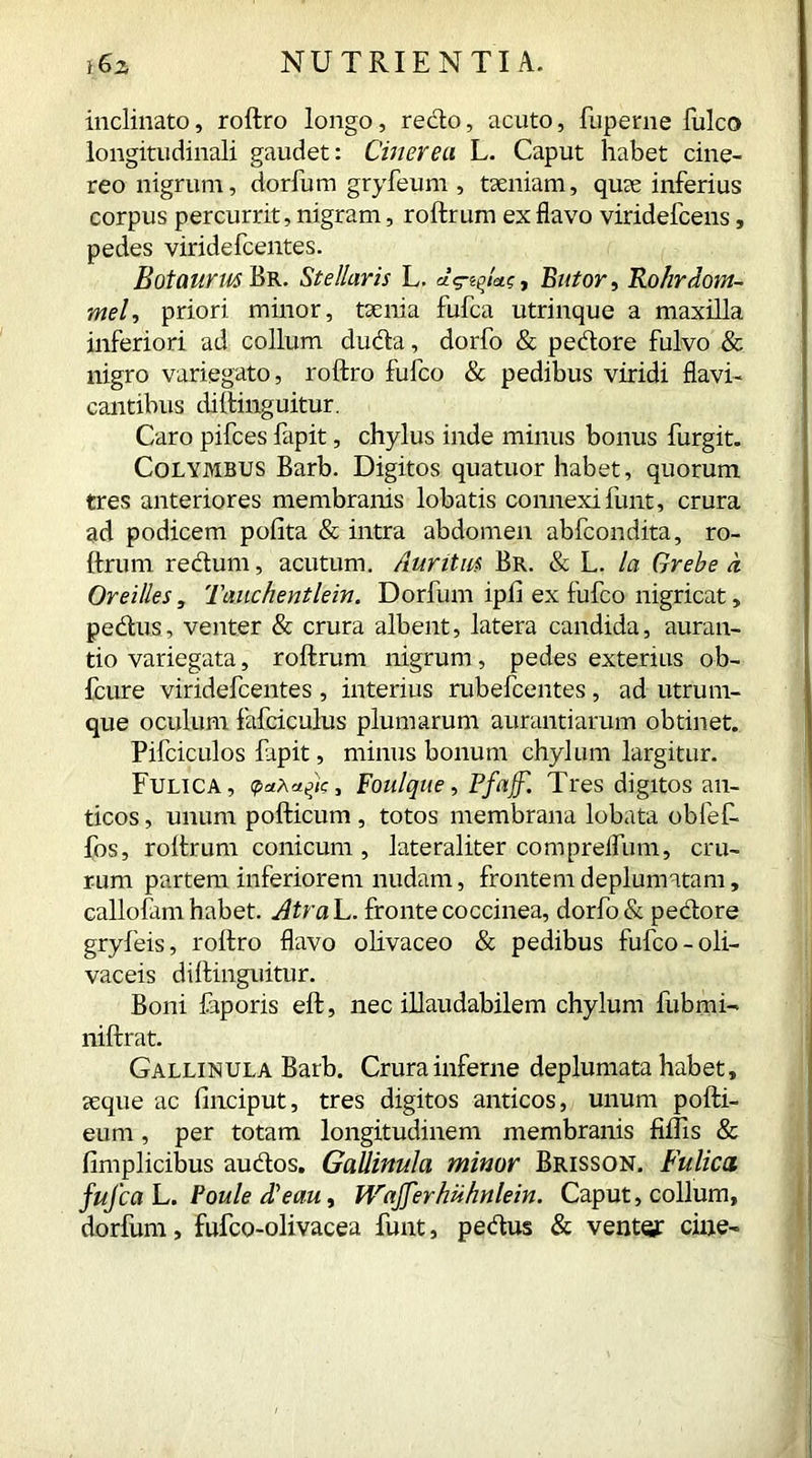 inclinato, roftro longo, redo, acuto, fuperne fulco longitudinali gaudet: Cinerea L. Caput habet cine- reo nigrum, dorfum gryfeum , taeniam, quae inferius corpus percurrit, nigram, roftrum ex flavo viridefcens, pedes viridefcentes. Botaurm Br. Stellaris L. Butor, Ro/iraom- mel, priori minor, taenia fufca utrinque a maxilla inferiori ad collum duda, dorfo & pedore fulvo & nigro variegato, roftro fufco & pedibus viridi flavi- cantibus diftinguitur. Caro pifces fapit, chylus inde minus bonus furgit. Colymbus Barb. Digitos quatuor habet, quorum tres anteriores membranis lobatis connexi funt, crura ad podicem polita & intra abdomen abfcondita, ro- ftrum redum, acutum. Auritus Br. & L. la Grebe a Orei/les, Tauchentlein. Dorfum ipli ex fufco nigricat, pedus, venter & crura albent, latera candida, auran- tio variegata, roftrum nigrum, pedes exterius ob- fcure viridefcentes , interius rubefcentes, ad utrum- que oculum fafciculus plumarum aurantiarum obtinet. Pifciculos fapit, minus bonum chylum largitur. Fulica, Foulque, Ffaff. Tres digitos an- ticos , unum pofticum , totos membrana lobata obfef* fos, roftrum conicum, lateraliter comprelfum, cru- rum partem inferiorem nudam, frontem deplumatam, callofam habet. Atra L. fronte coccinea, dorfo & pedore gryfeis, roftro flavo olivaceo & pedibus fufco-oli- vaceis diftinguitur. Boni faporis eft, nec illaudabilem chylum liibmi- niftrat. Gallinula Barb. Crura inferne deplumata habet, aeque ac linciput, tres digitos anticos, unum pofti- eum, per totam longitudinem membranis filiis & fimplicibus audos. Gallinula minor Brisson. Fulica fufca L. Poule A e au, Wafer hiihnlein. Caput, collum, dorfum, fufco-olivacea funt, pedus & venter cine-
