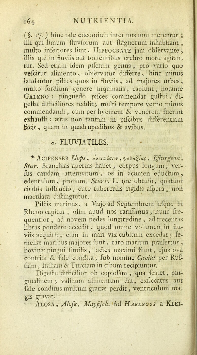 (§. 17.) hmc tale encomium inter nos non merentur j illi qui limum fluviorum aut ftflgnorum inhabitant, multo inferiores funt, Hippocrate jam obfervante, illis qui in fluviis aut torrentibus crebro motu agitan- tur. Sed etiam idem pifcium genus , pro vario quo vefcitur alimento , obfervatur differre, hinc minus laudantur pifces quos in fluviis , ad majores urbes, multo for dium genere inquinatis , capiunt, notante Galeno : pinguedo pifces commendat guftui, di- geftu difficiliores reddit; multi tempore verno minus commendandi, cum per hyemem & venerem fuerint exhaulti: xtas non tantam in pifcibus differentiam facit, quam in quadrupedibus & avibus. «. FLUVJATILES. Acipenser Elops, oum^Miov, , EJhivgeou, Steer. Branchias apertas habet, corpus longum, ver- ius caudam attenuatum , os in acumen eductum , edentulum , pronum. St urio L. ore obtufo, quatuor cirrhis inilrudo, cute tuberculis rigidis alpera , non maculata diftinguitur. Pifcis marinus, a Majo ad Septembrem ufque in Rheno capitur, olim apud nos rariffimus , nunc fre- quentior , ad novem pedes longitudine , ad trecentas libras pondere accedit, quod omne volumen in flu- viis acquirit, cum in mari vix cubitum excedat 1 fe- mellae maribus majores funt, caro marium praefertur, bovinx pingui fimilis , ludes maximi fiunt, ejus ova contrita & file condita, fub nomine Cnviat per Ruf- fiam, Italiam & Turciam in cibum recipiuntur. Digeftu difficilior ob copiofam , qua fcatet, pin- guedinem ; validum alimentum dat, exficcatus aut fale conditus multum gratix perdit, ventriculum ma- gis gravat. Alosa, Alofa, Mayfifch. Ad Harengos a Klei-