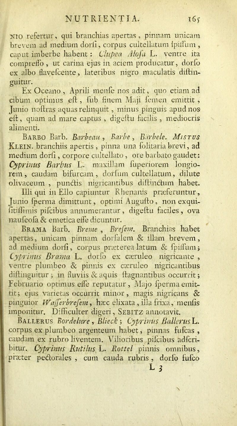 Nio refertur, qui branchias apertas , pinnam unicam brevem ad medium dorli, corpus cultellatum {piifum , caput imberbe habent: Clupea Alofa L. ventre ita compreiTo , ut carina ejus in aciem producatur, dorfo ex albo flave fee nte, lateribus nigro maculatis diftin- guitur. Ex Oceano , Aprili rneufe nos adit, quo etiam ad cibum optimus eft , fub finem Maji femen emittit , Junio noftras aquas relinquit, minus pinguis apud nos eft, quam ad mare captus , digeftu facilis , mediocris alimenti. Barbo Barb. Barbeau , Barbe, Barbele. Mistus Klein, branchiis apertis , pinna una folitaria brevi, ad medium dorli, corpore cultellato, ore barbato gaudet: Cyprinus Barbus L. nruxillam fuperiorem longio- rem, caudam bifurcam, dorfum cultellatum, dilute olivaceum , pumftis nigricantibus dillinctum habet. Illi qui in Elio capiuntur Rhenanis praeferuntur, Junio fperma dimittunt, optimi Augufto, non exqui- Htiffimis pifcibus annumerantur, digeftu faciles, ova naufeofa & emetica elfe dicuntur. Brama Barb. Breme , Brefem. Branchias habet apertas, unicam pinnam dorfalem & illam brevem, ad medium dorli, corpus praeterea latum & fpilfum. ; Cyprinus Brama L. dorfo ex caeruleo nigricante , ventre plumbeo & pinnis ex ctcruleo nigricantibus diftinguitur ; in fluviis & aquis ftagnantibus occurrit; Februario optimus elfe reputatur, Majo fperma emit- tit i ejus varietas occurrit minor, magis nigricans & pinguior IVajJerbrefem, haec elixata, illa frixa, menfis imponitur. Difficulter digeri, Sebxtz annotavit. Ballerus Bordelure , Blieck 5 Cyprinus Ballerus L. corpus ex plumbeo argenteum habet, pinnas fufcas , caudam ex rubro liventem. Vilioribus pifcibus adfcri- bitur. Cyprinus Rutilus L. Rottel pinnis omnibus, p net er peclorales , cum cauda rubris , dorfo fufeo