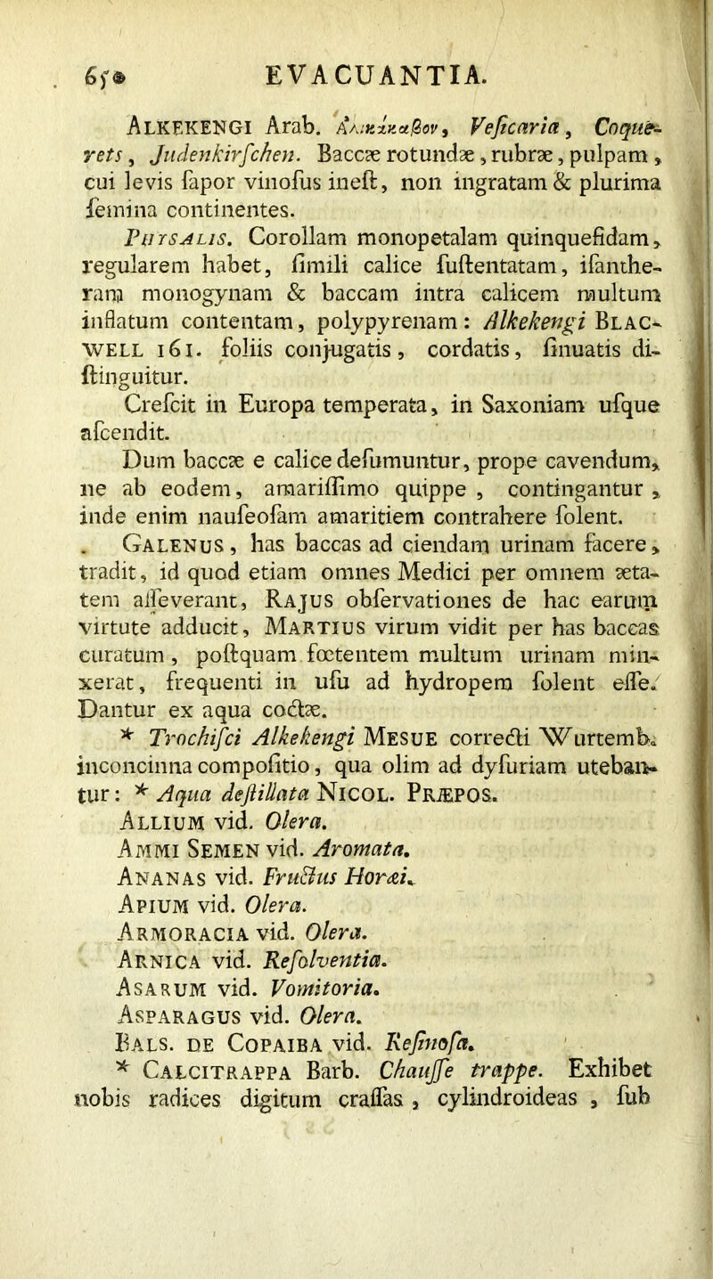 Alkekengi Arab. Aa:k%ko.^ov, Veficaria, Coqu&- rets, Judenkirfchen. Baccae rotundae, rubrae, pulpam cui levis fapor vinofus ineft, non ingratam & plurima femina continentes. Fur salis. Corollam monopetalam quinquefidam, regularem habet, fimili calice fuftentatam, ifanthe- ratjj monogynam & baccam intra calicem multum inflatum contentam, polypyrenam: Alkekengi Blac- well 161. foliis conjugatis, cordatis, firmatis di- flinguitur. Crefcit in Europa temperata, in Saxoniam ufque afcendit. Dum baccae e calice defumuntur, prope cavendum» ne ab eodem, amariffimo quippe , contingantur inde enim naufeofam amaritiem contrahere folent. Galenus, has baccas ad ciendam urinam facere» tradit, id quod etiam omnes Medici per omnem aeta- tem alleverant, Rajus obfervationes de hac earurri virtute adducit, Martius virum vidit per has baccas. curatum , poftquam foetentem multum urinam min- xerat, frequenti in ufu ad hydropem folent eflfe. Dantur ex aqua codae. * Trochifci Alkekengi Mesue corredi 'Wurtemba inconcinna compofitio, qua olim ad dyfuriam utebaiv tur: * Aqua deftillata NlCOL. PRJEPOS. Allium vid. Olera. Am mi Semen vid. Aromata. Ananas vid. Fru&us Horreis Apium vid. Olera. Armoracia vid. Olera. Arnica vid. Resolventia. Asarum vid. Vomitoria. Asparagus vid. Olera. Bals. de Copaiba vid. Rejinofa. * Calcitrappa Barb. Chaujfe trappe. Exhibet nobis radices digitum crafias , cylindroideas , fub