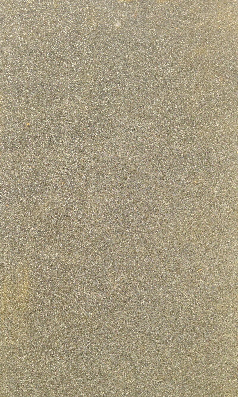 mwmm WBmL W&SSSm m&mM mSd JSewit®§IS>W^iy 1 ^^jfejarangj&iaaa3