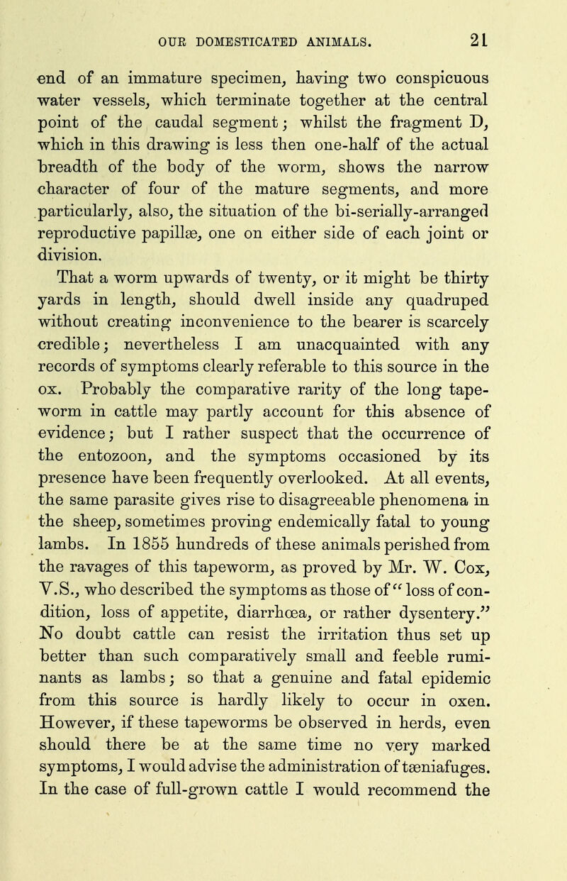 end of an immature specimen, having two conspicuous water vessels, which terminate together at the central point of the caudal segment; whilst the fragment which in this drawing is less then one-half of the actual hreadth of the body of the worm, shows the narrow character of four of the mature segments, and more .particularly, also, the situation of the bi-serially-arranged reproductive papillge, one on either side of each joint or division. That a worm upwards of twenty, or it might be thirty yards in length, should dwell inside any quadruped without creating inconvenience to the bearer is scarcely credible; nevertheless I am unacquainted with any records of symptoms clearly referable to this source in the ox. Probably the comparative rarity of the long tape- worm in cattle may partly account for this absence of evidence; but I rather suspect that the occurrence of the entozoon, and the symptoms occasioned by its presence have been frequently overlooked. At all events, the same parasite gives rise to disagreeable phenomena in the sheep, sometimes proving endemically fatal to young lambs. In 1855 hundreds of these animals perished from the ravages of this tapeworm, as proved by Mr. W. Cox_, Y.S., who described the symptoms as those of loss of con- dition, loss of appetite, diarrhoea, or rather dysentery No doubt cattle can resist the irritation thus set up better than such comparatively small and feeble rumi- nants as lambs; so that a genuine and fatal epidemic from this source is hardly likely to occur in oxen. However, if these tapeworms be observed in herds, even should there be at the same time no very marked symptoms, I would advise the administration of taeniafuges. In the case of full-grown cattle I would recommend the