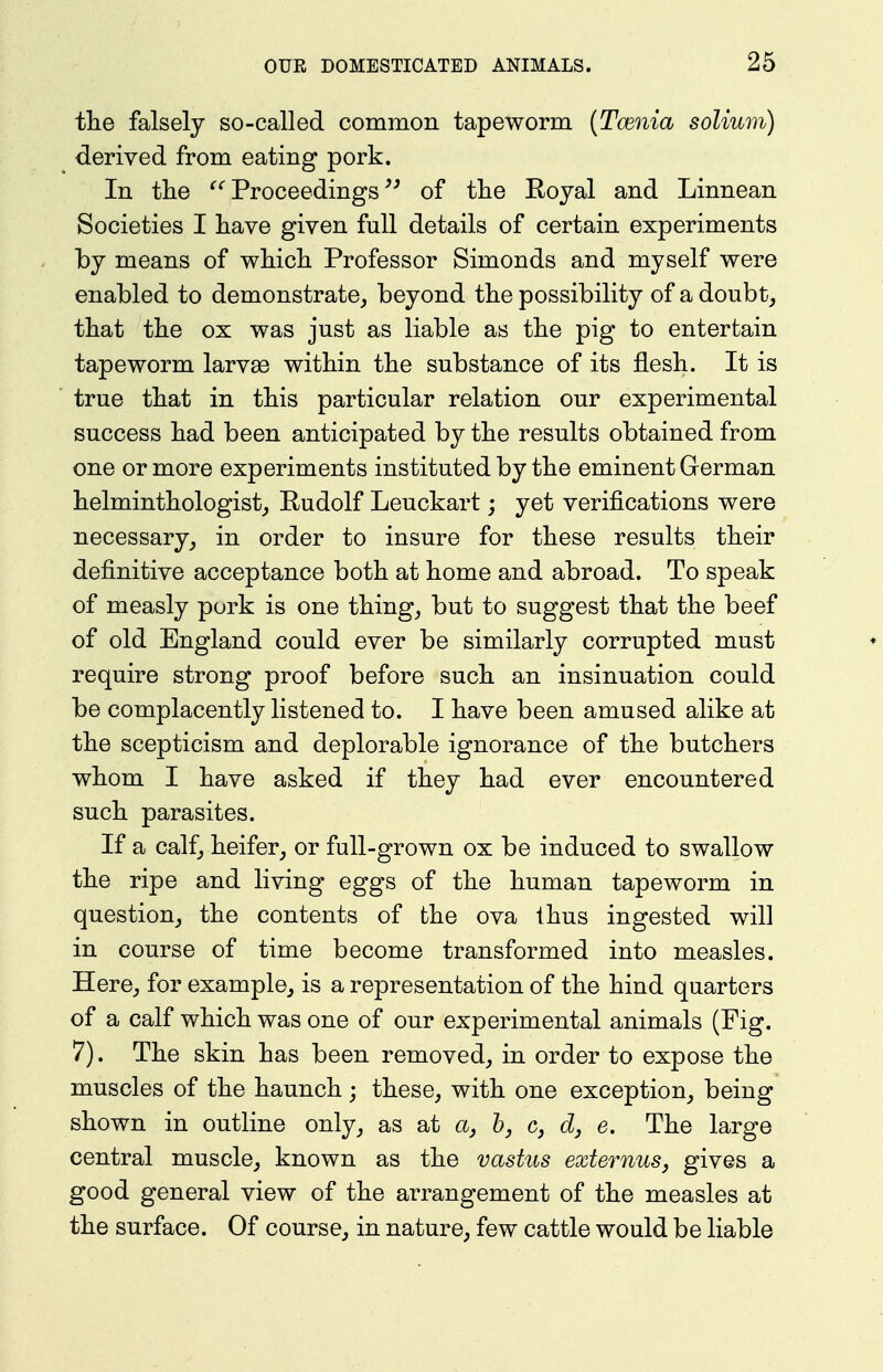 tlie falsely so-called common tapeworm {Tcenia solium) derived from eating pork. In the '^'^ Proceedingsof the Royal and Linnean Societies I have given full details of certain experiments hj means of which Professor Simonds and myself were enabled to demonstrate, beyond the possibility of a doubt_, that the ox was just as liable as the pig to entertain tapeworm larvas within the substance of its flesh. It is true that in this particular relation our experimental success had been anticipated by the results obtained from one or more experiments instituted by the eminent German helminthologistj Rudolf Leuckart; yet verifications were necessary_, in order to insure for these results their definitive acceptance both at home and abroad. To speak of measly pork is one thing, but to suggest that the beef of old England could ever be similarly corrupted must require strong proof before such an insinuation could be complacently listened to. I have been amused alike at the scepticism and deplorable ignorance of the butchers whom I have asked if they had ever encountered such parasites. If a calf, heifer, or full-grown ox be induced to swallow the ripe and living eggs of the human tapeworm in question, the contents of the ova thus ingested will in course of time become transformed into measles. Here, for example, is a representation of the hind quarters of a calf which was one of our experimental animals (Fig. 7). The skin has been removed, in order to expose the muscles of the haunch; these, with one exception, being shown in outline only, as at a, h, c, d, e. The large central muscle, known as the vastus externus, gives a good general view of the arrangement of the measles at the surface. Of course, in nature, few cattle would be liable